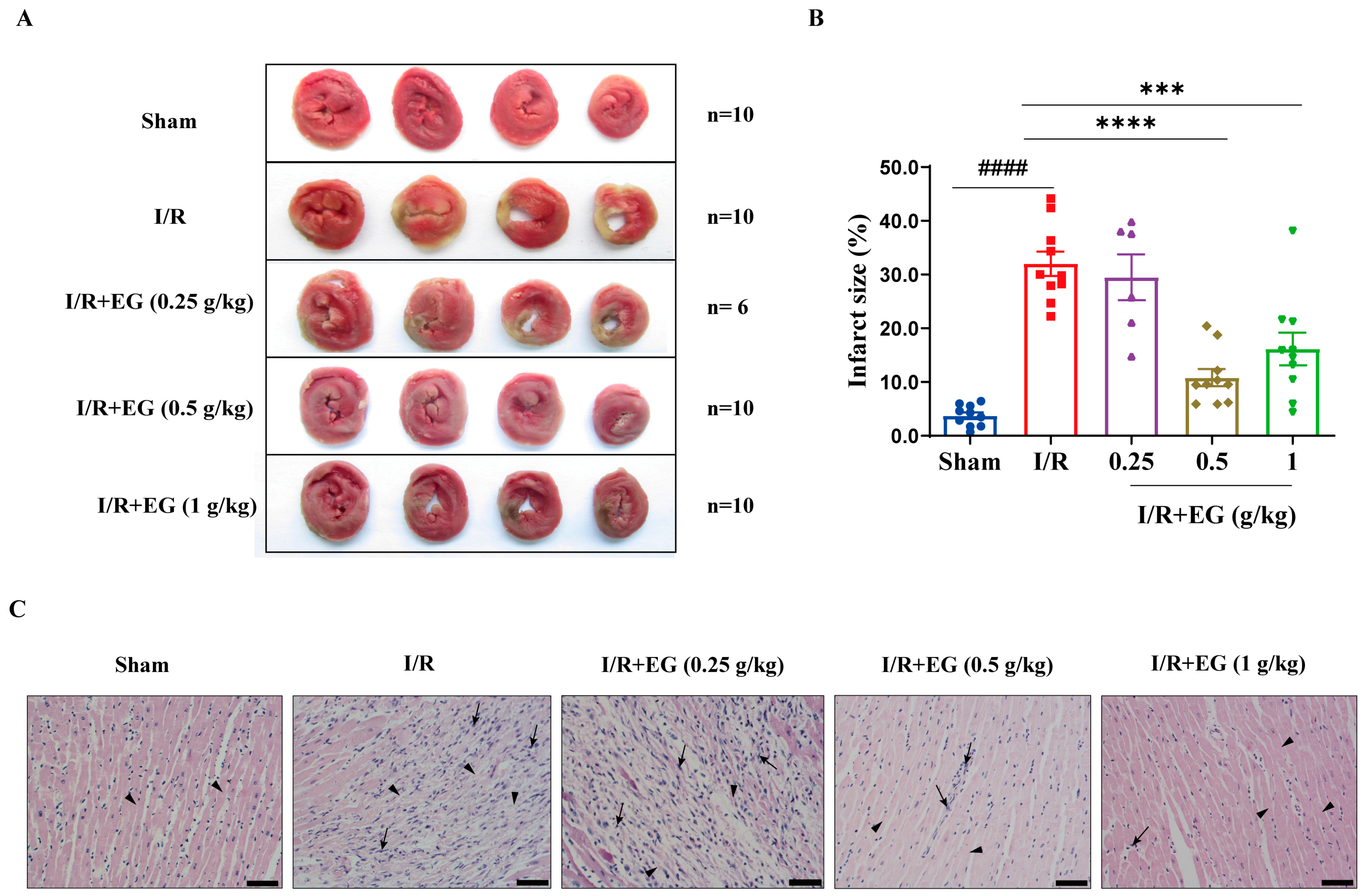 Molecules 29 01068 g001