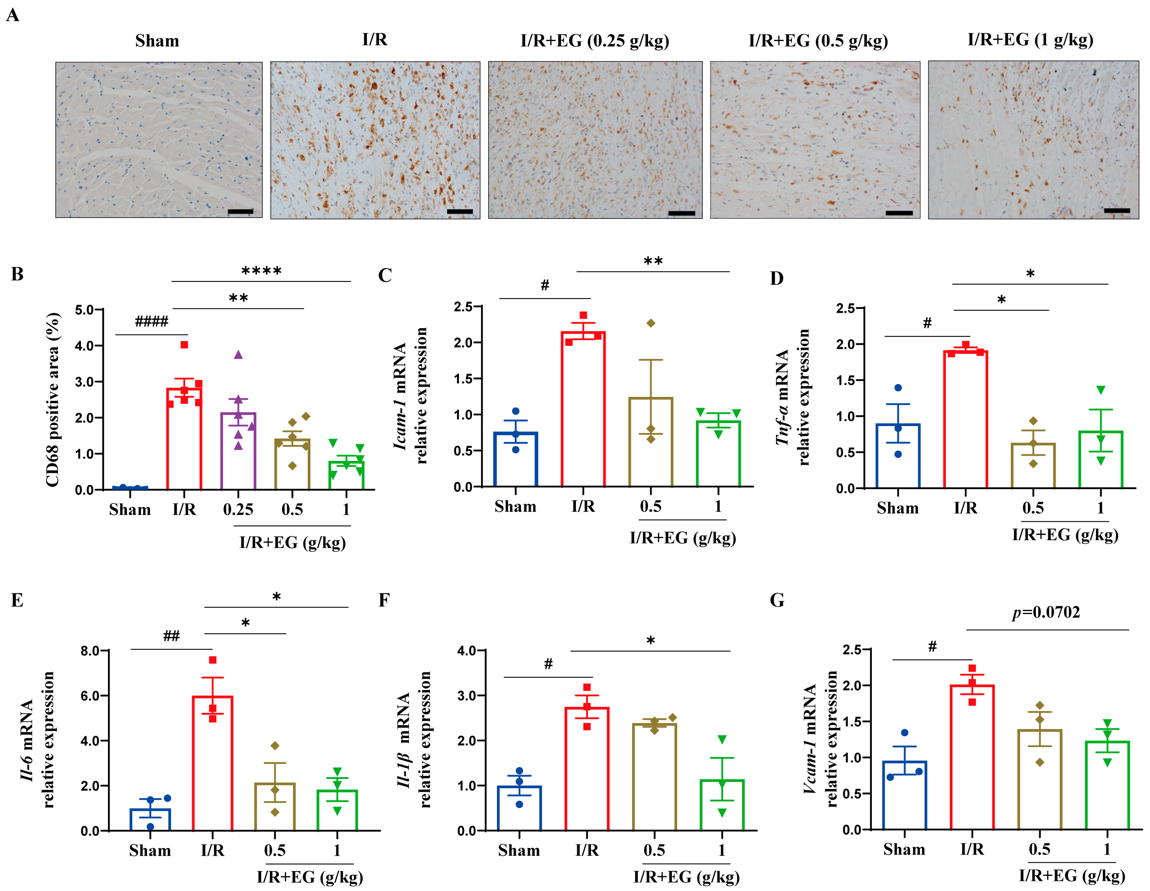 Molecules 29 01068 g002