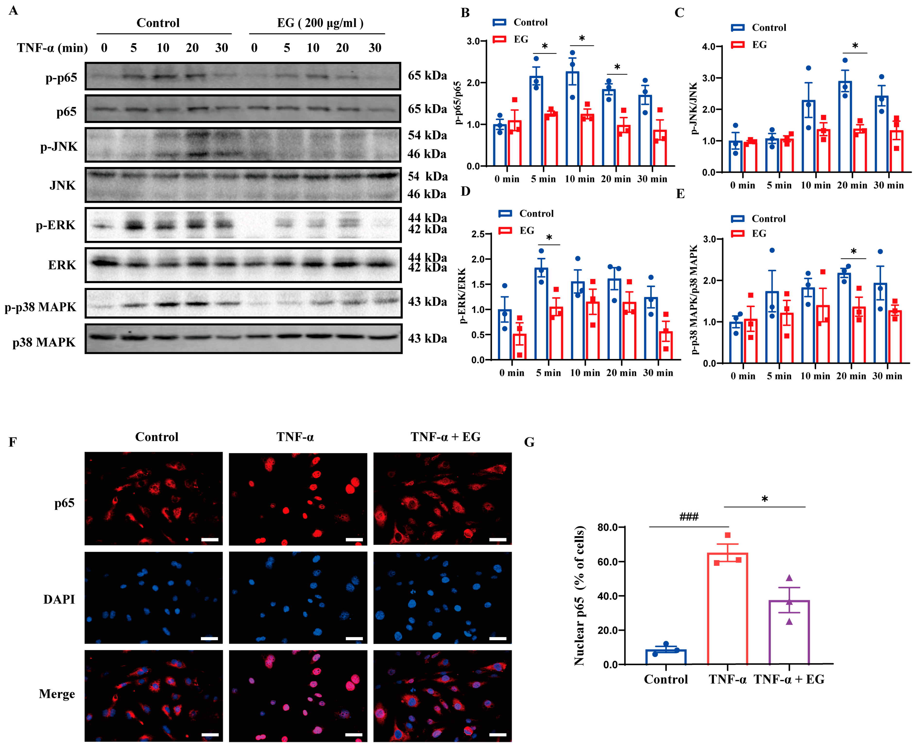 Molecules 29 01068 g004
