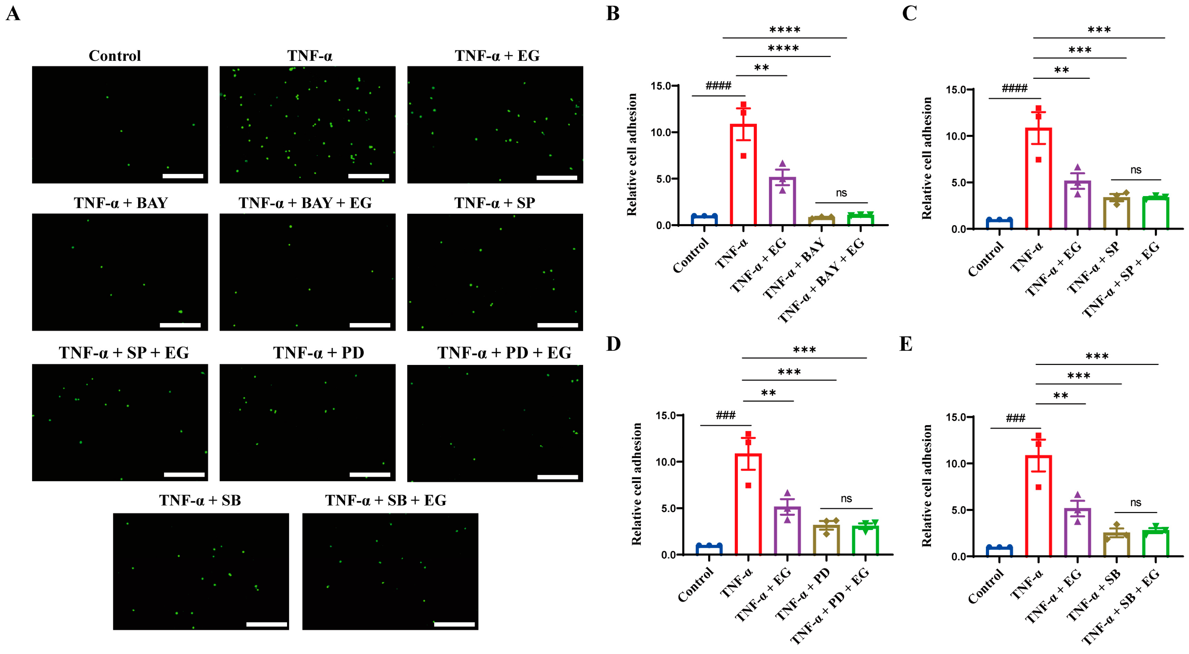 Molecules 29 01068 g006