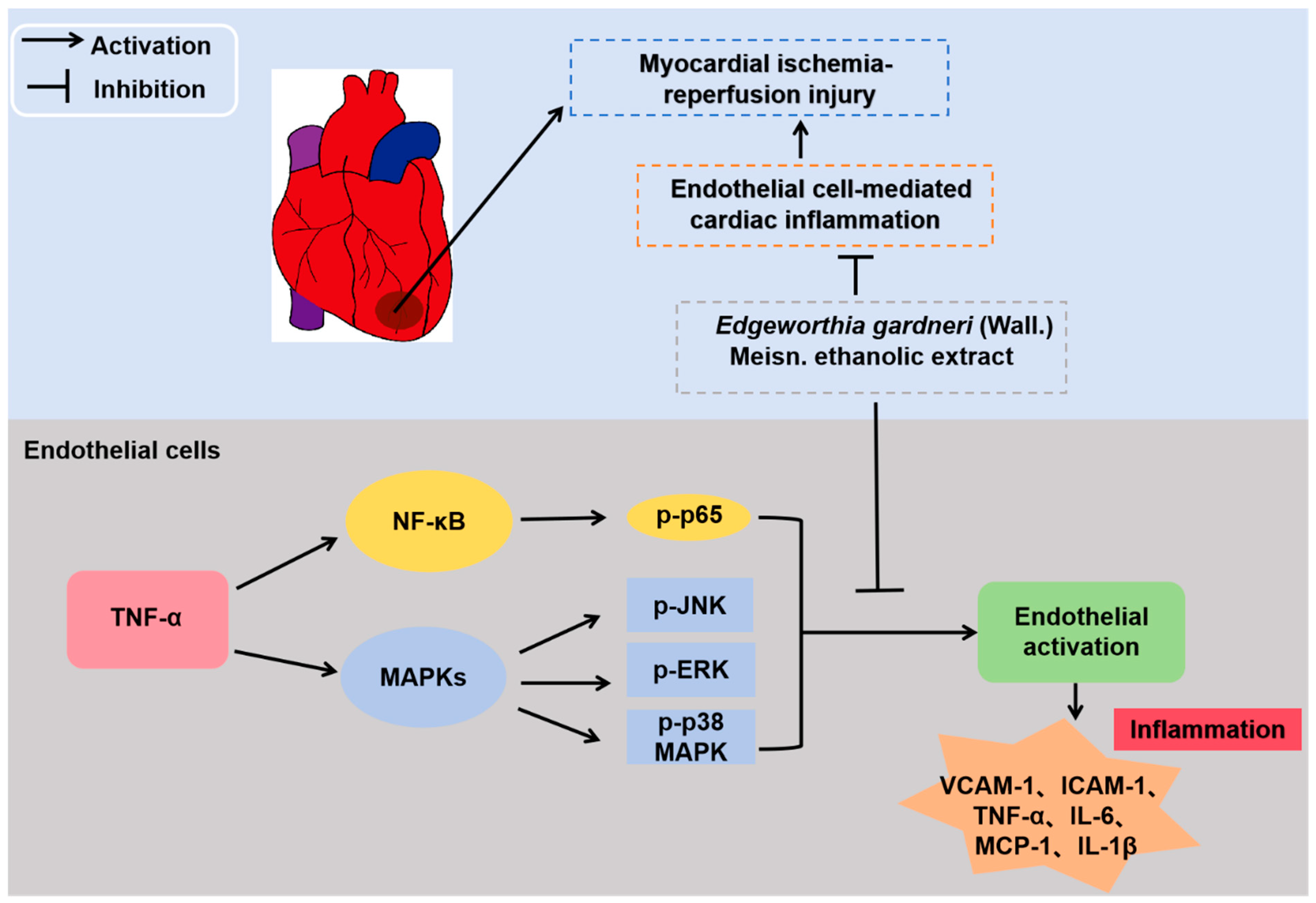 Molecules 29 01068 g007