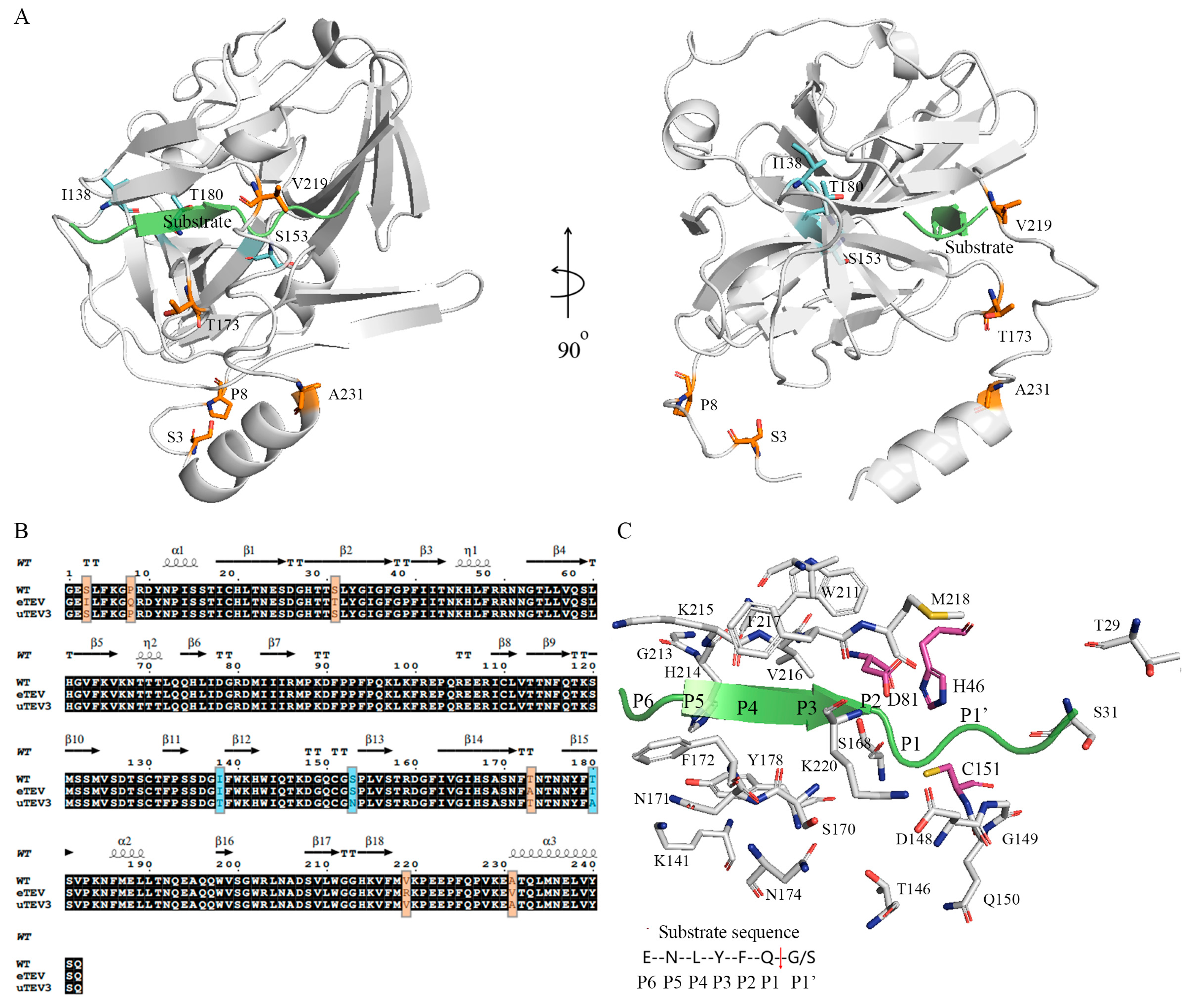 Molecules 29 01071 g001