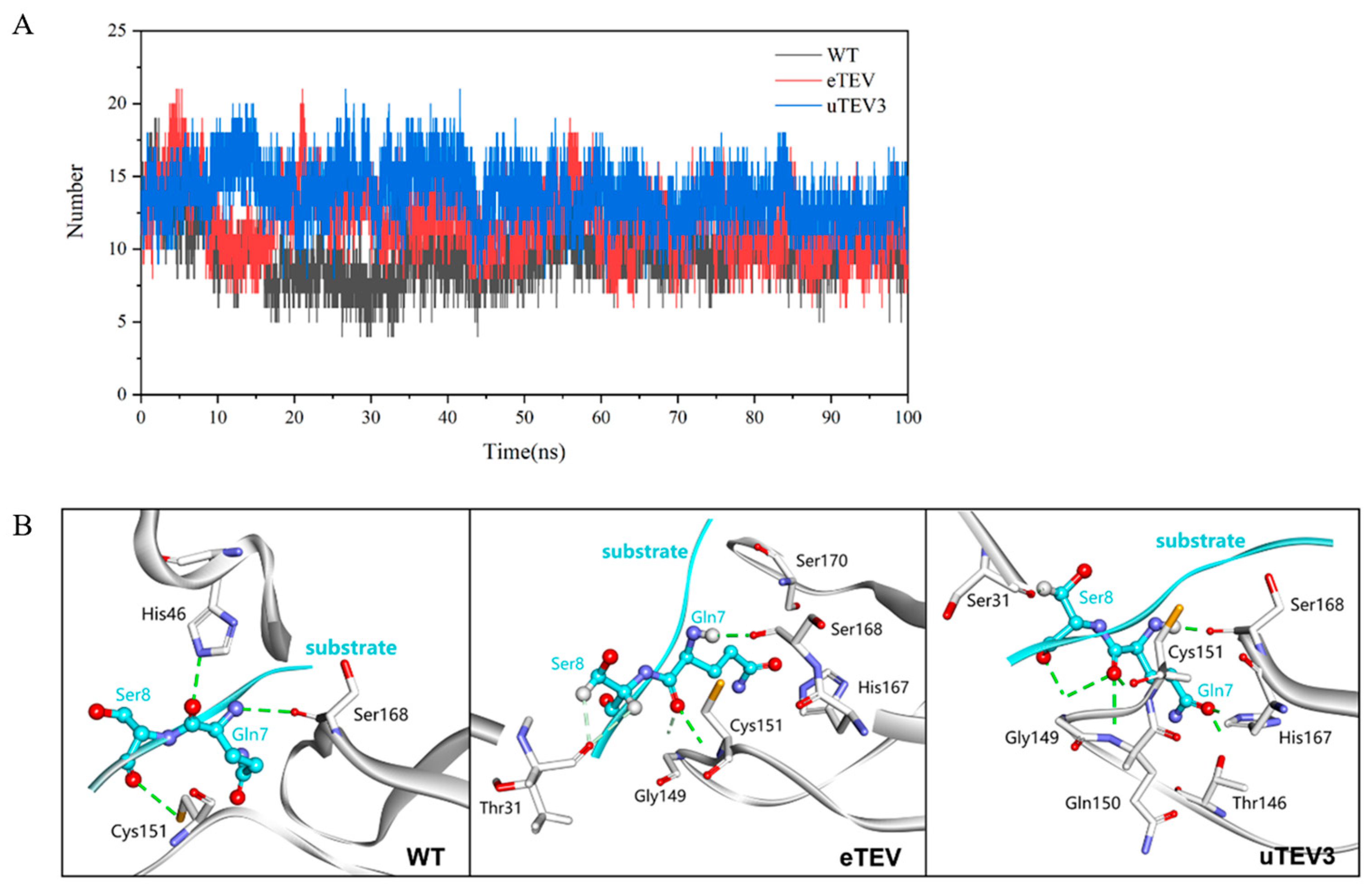 Molecules 29 01071 g006