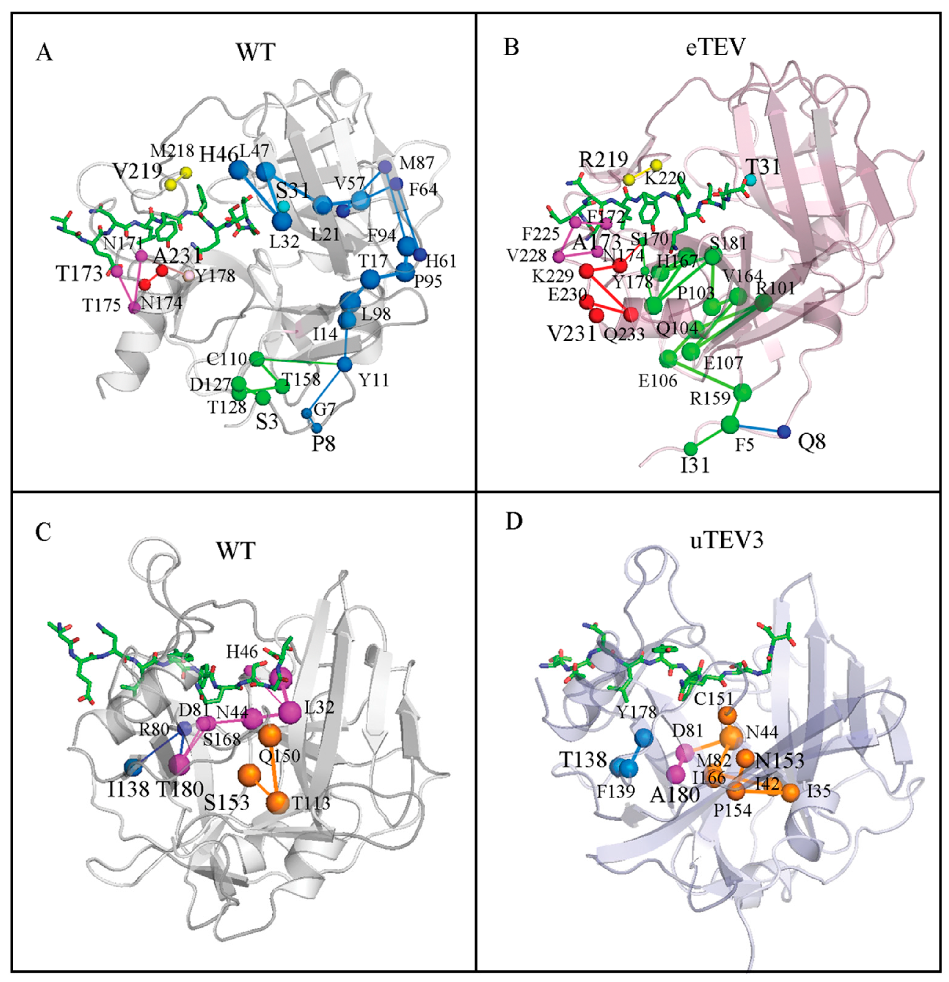 Molecules 29 01071 g007