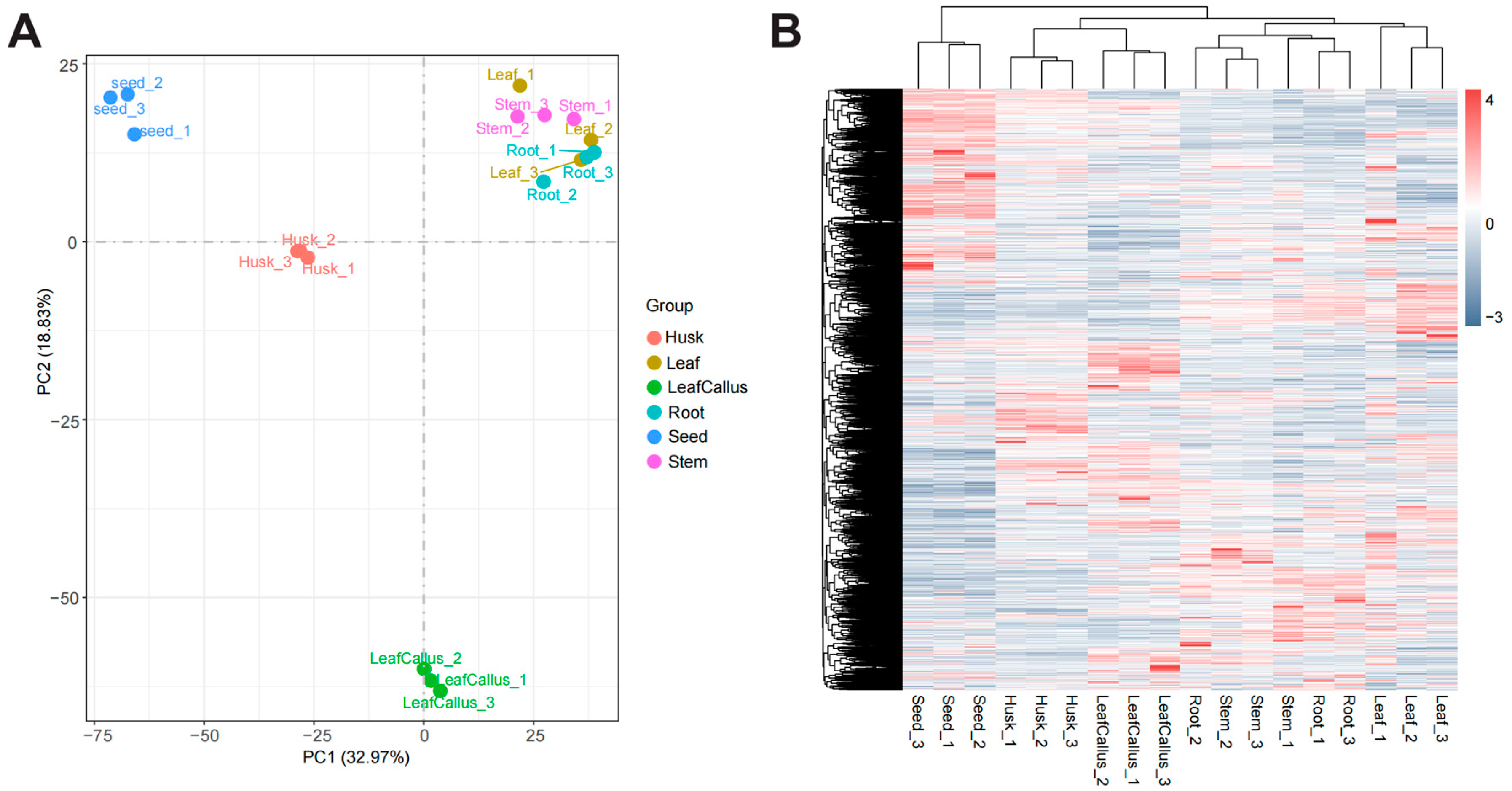 Molecules 29 01075 g006