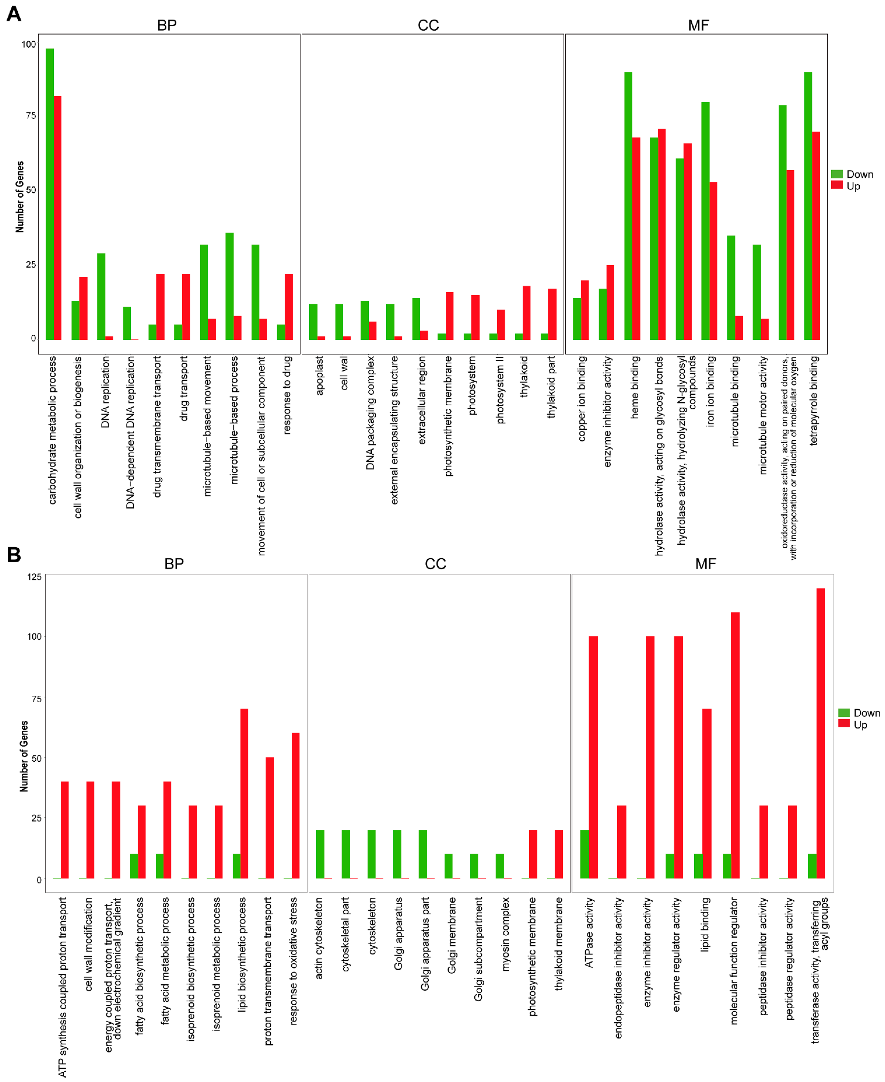 Molecules 29 01075 g007