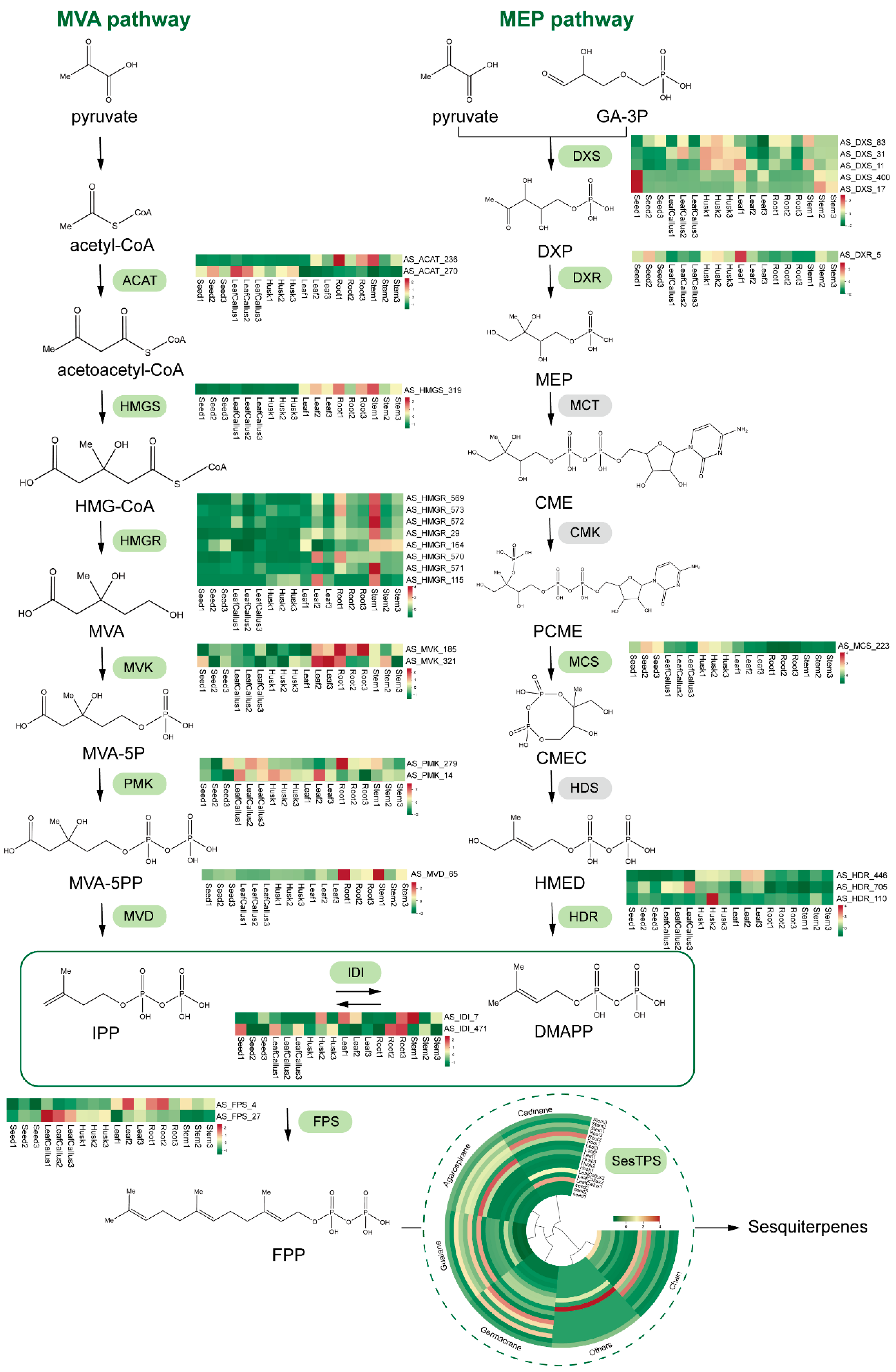 Molecules 29 01075 g008
