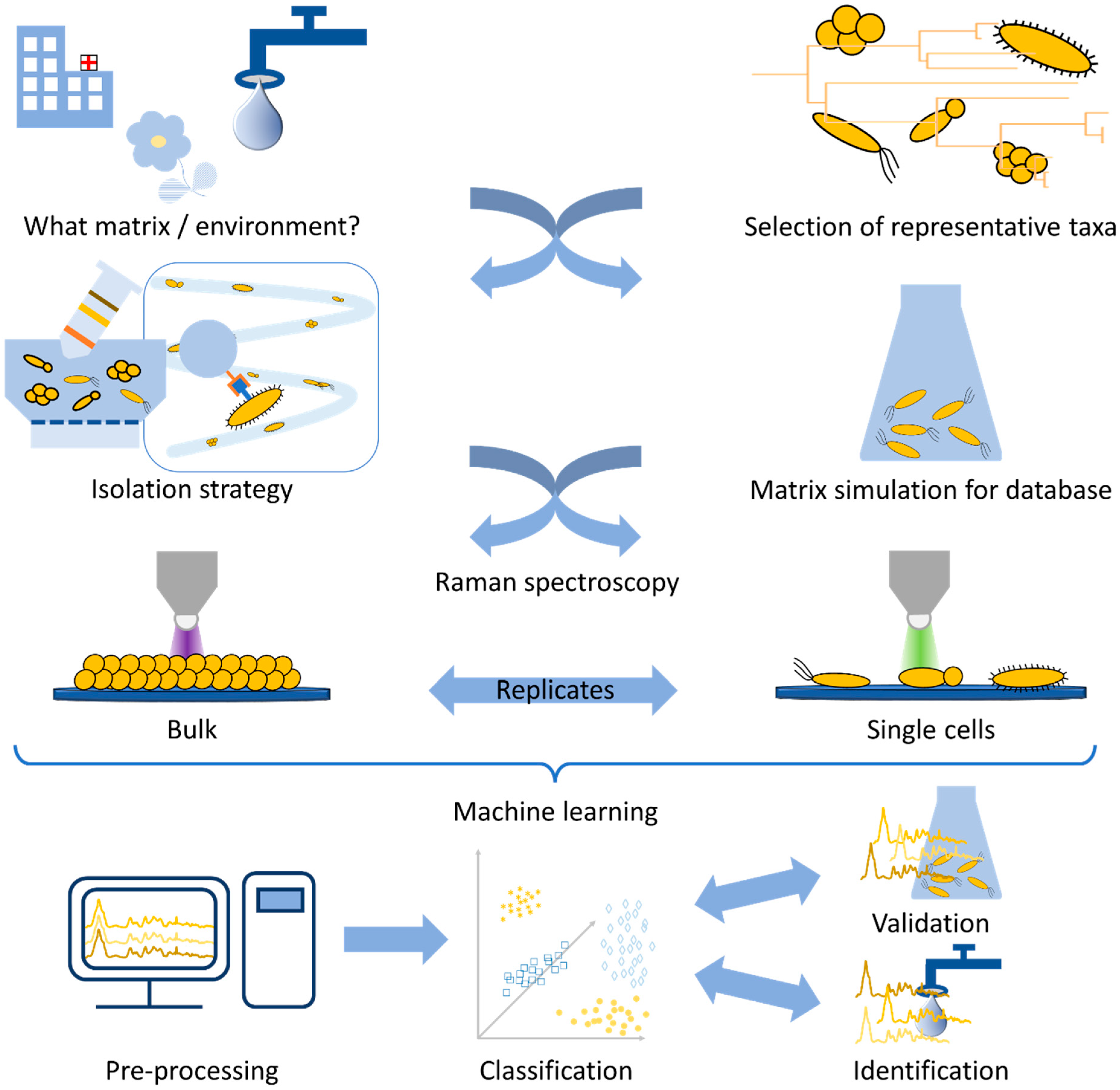 Molecules 29 01077 g001