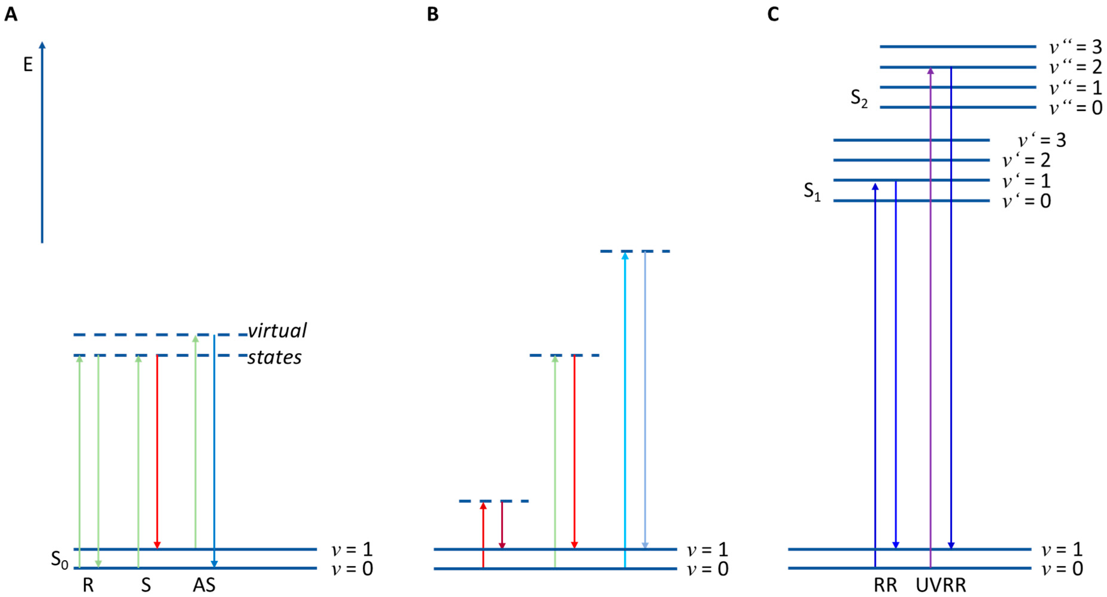 Molecules 29 01077 g002