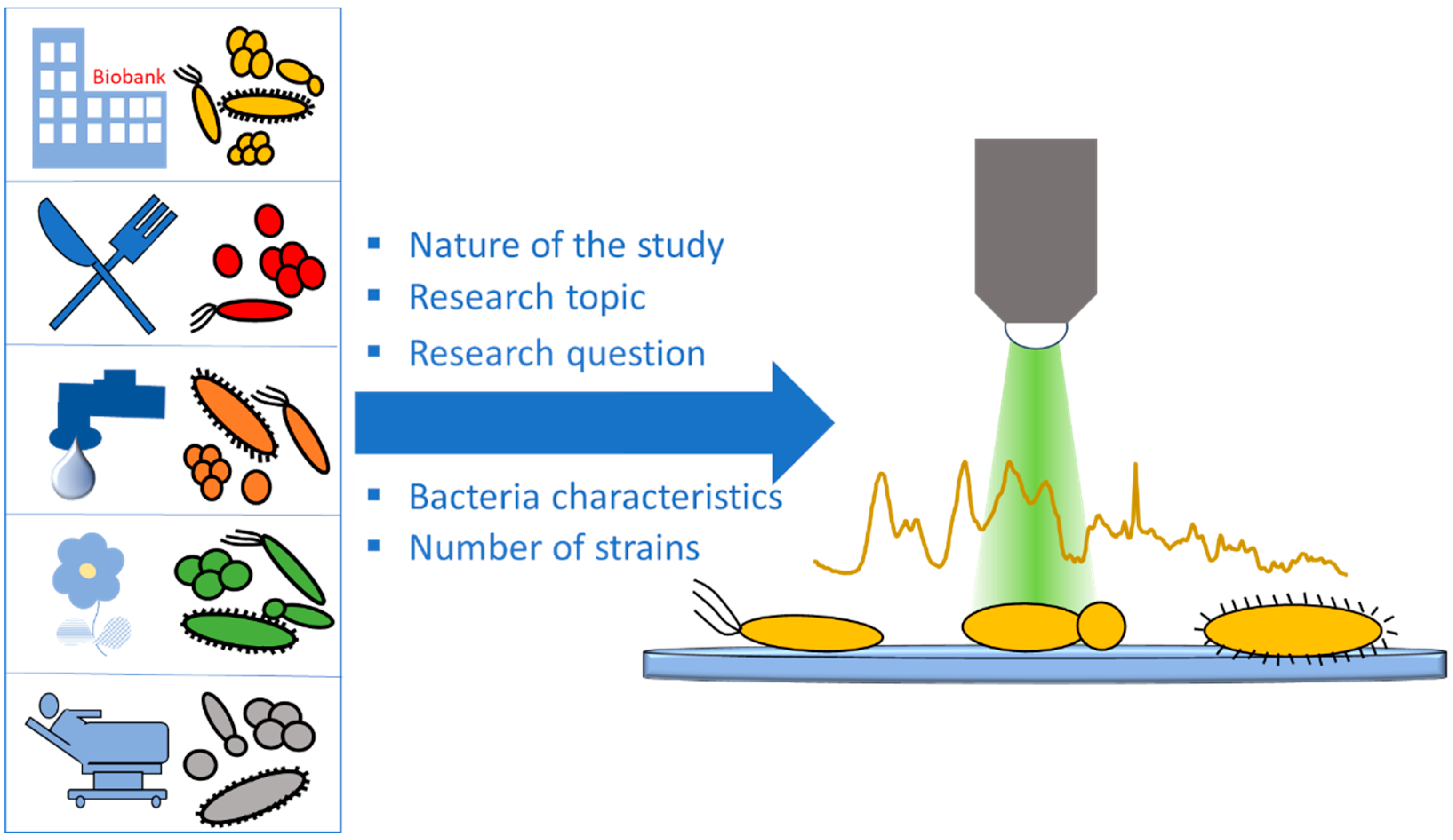 Molecules 29 01077 g003