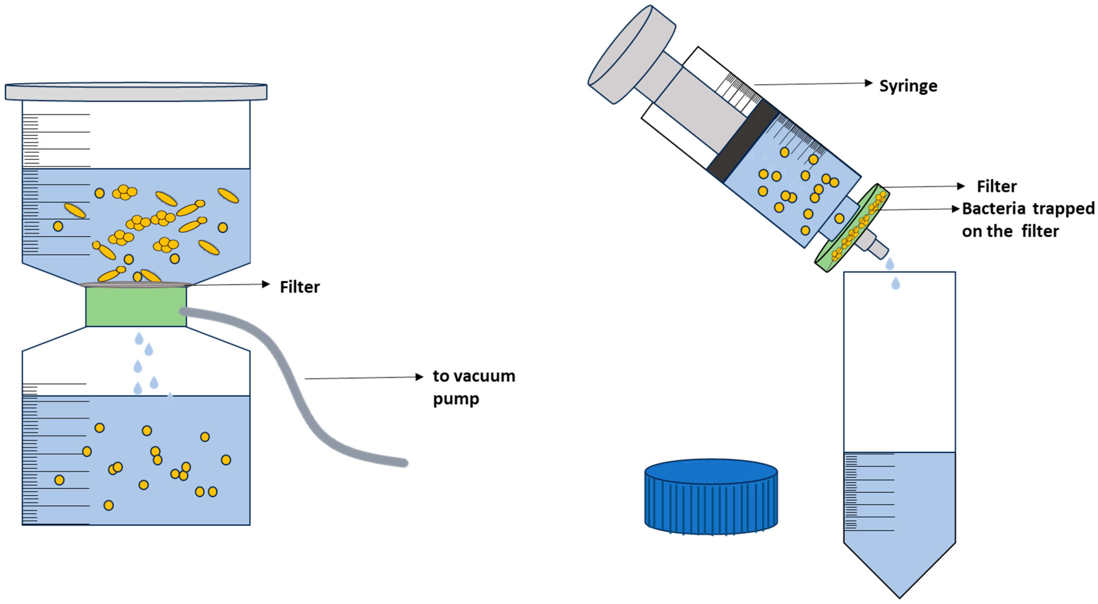 Molecules 29 01077 g007