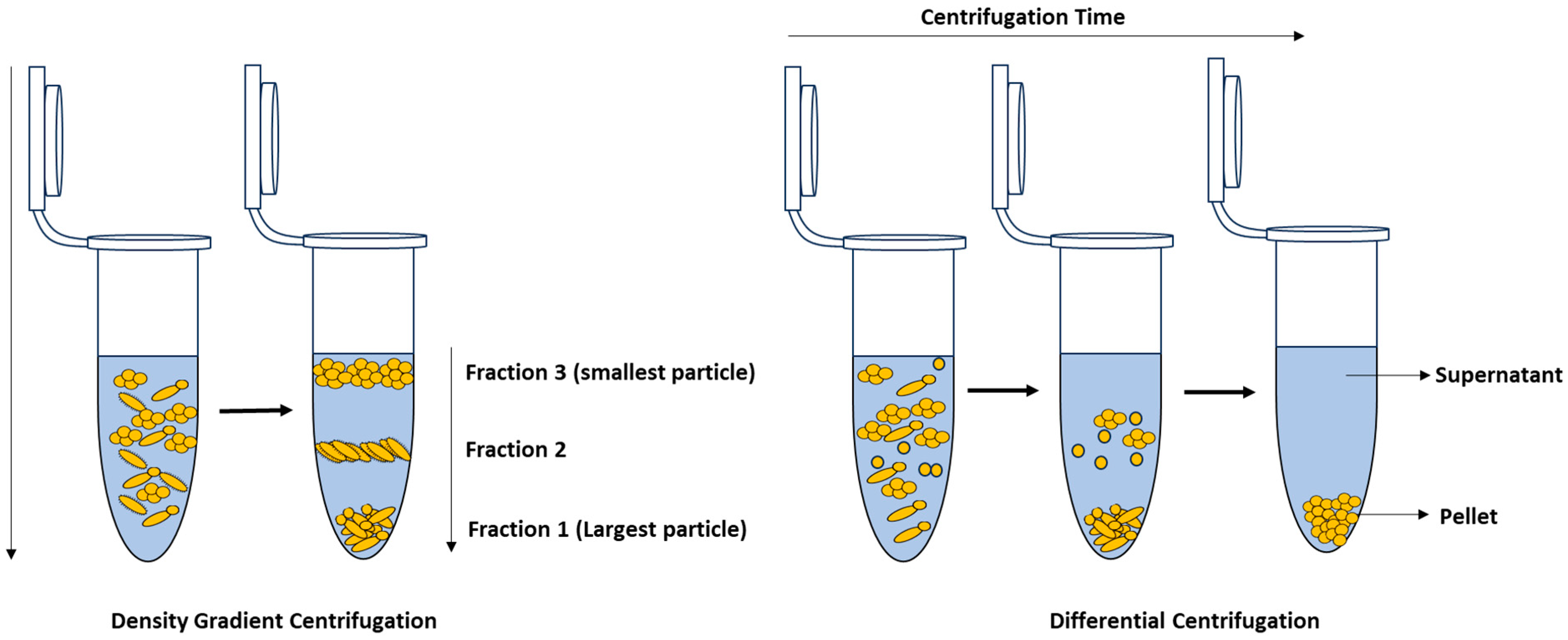 Molecules 29 01077 g008