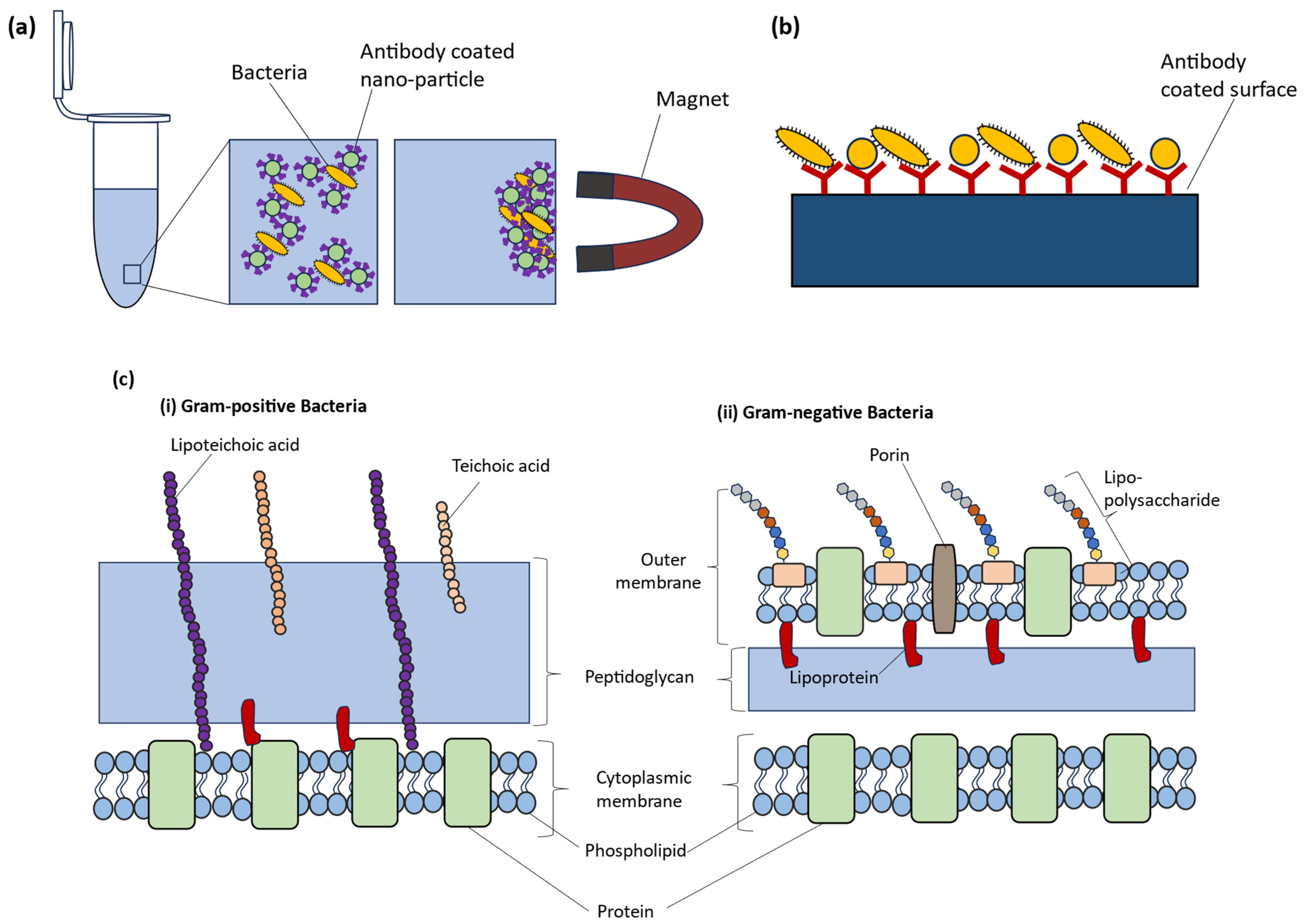 Molecules 29 01077 g010