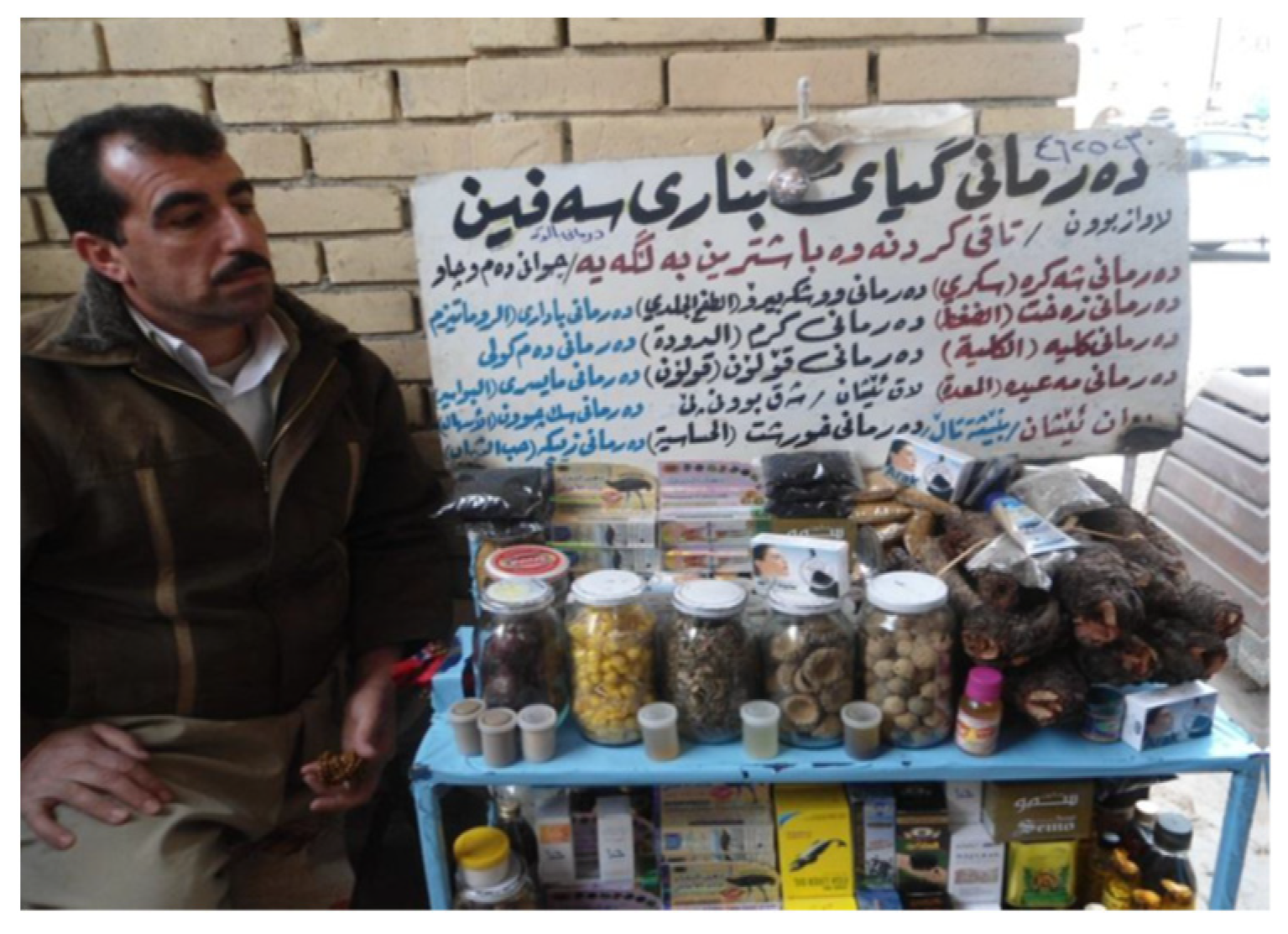 Molecules 29 01079 g001