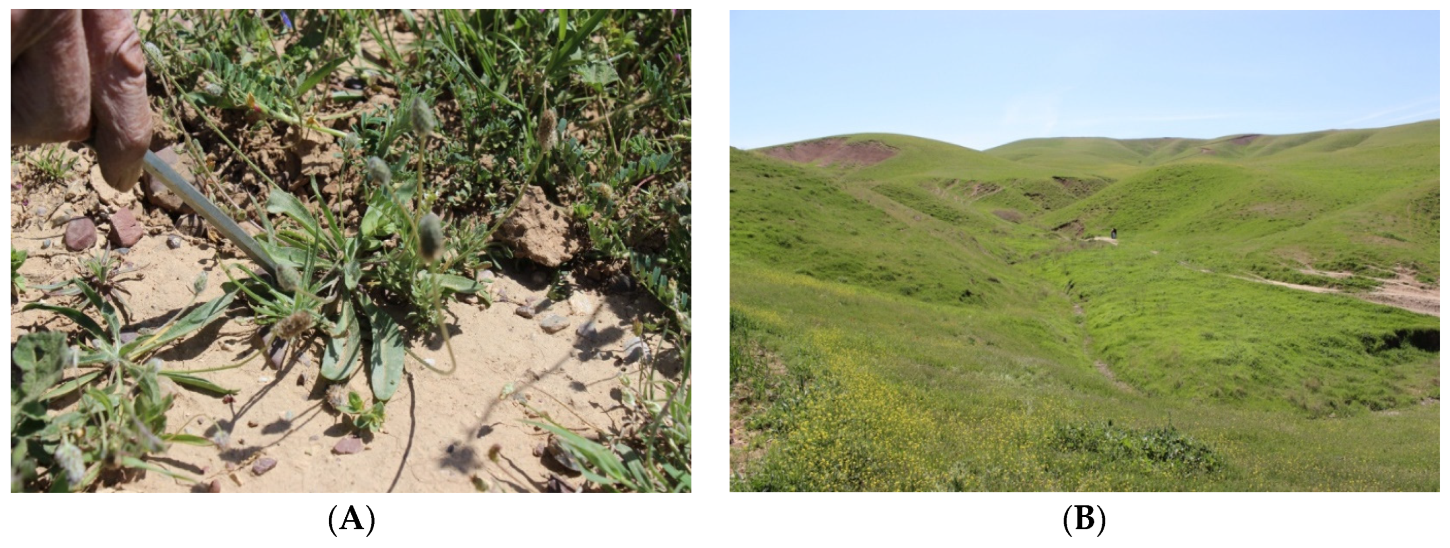 Molecules 29 01079 g002