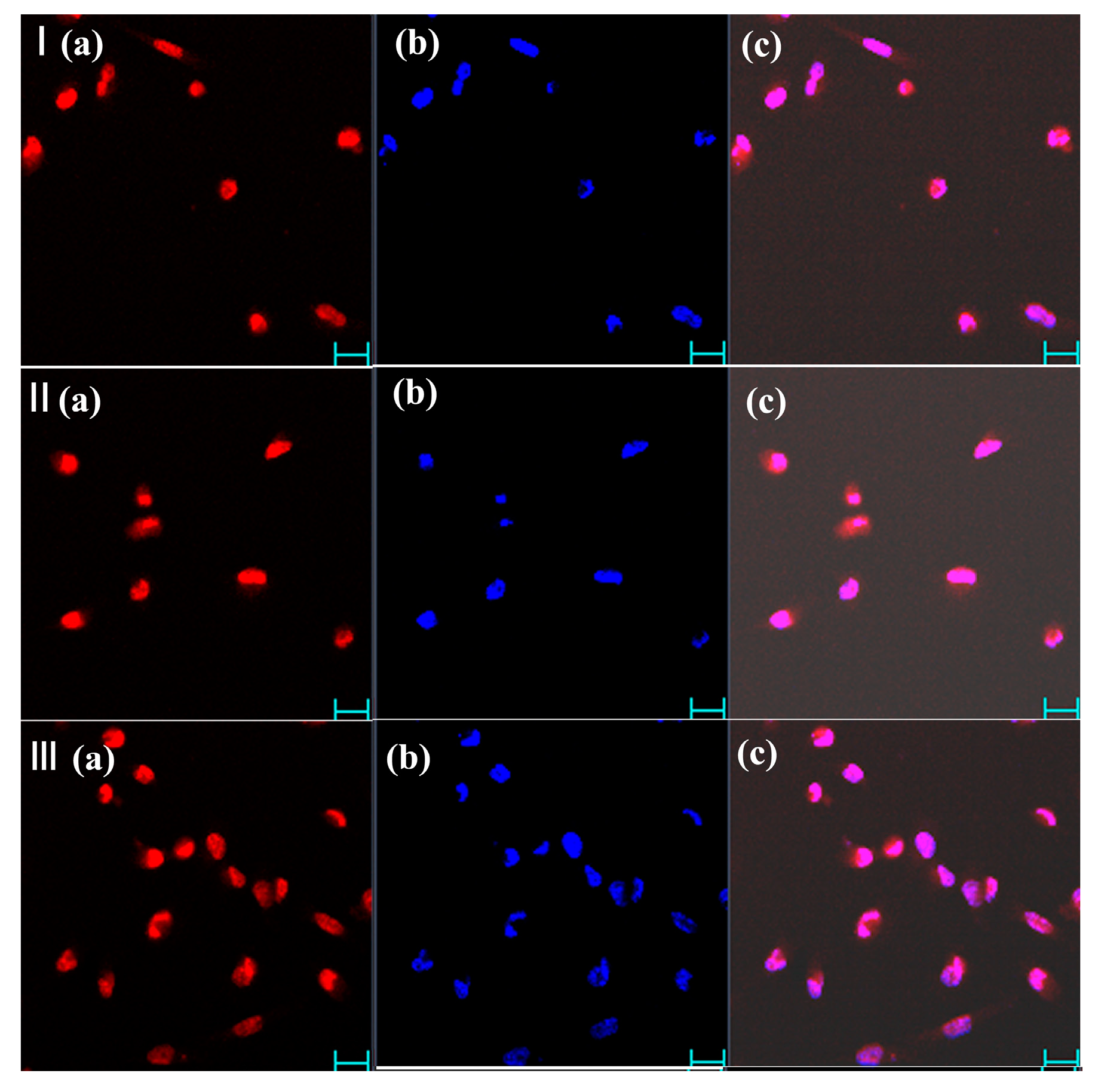 Molecules 29 01080 g003