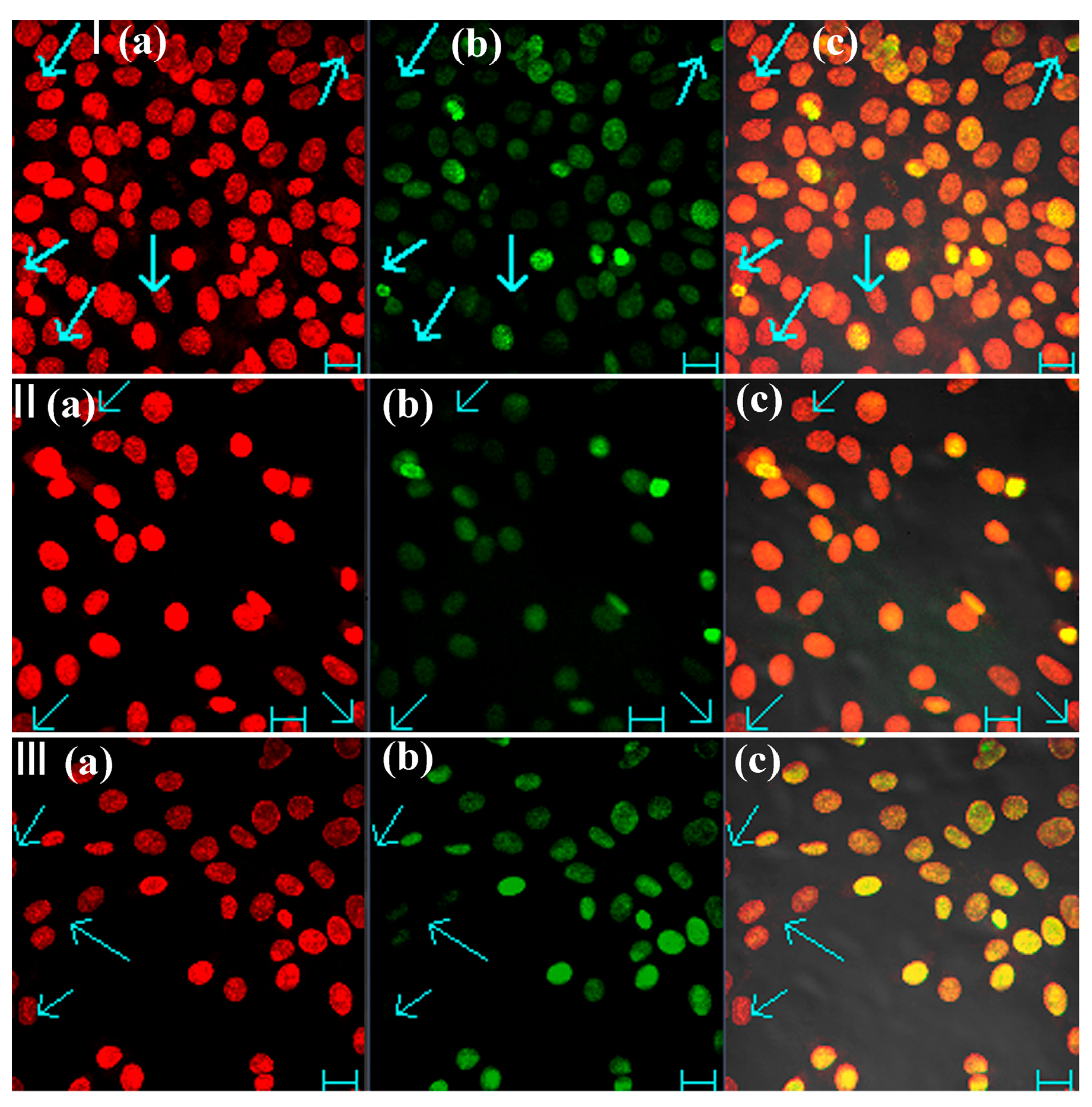 Molecules 29 01080 g004