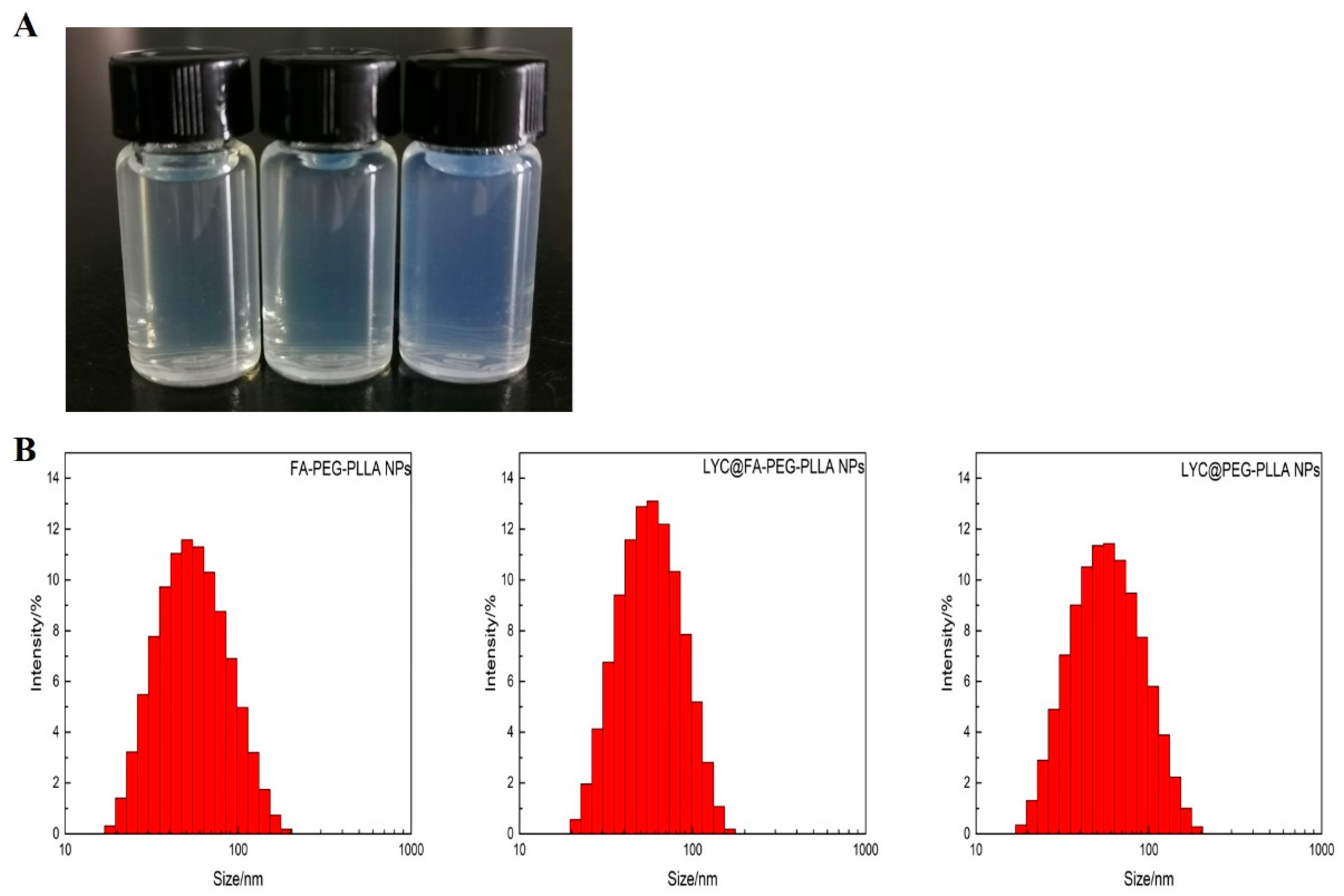 Molecules 29 01081 g007