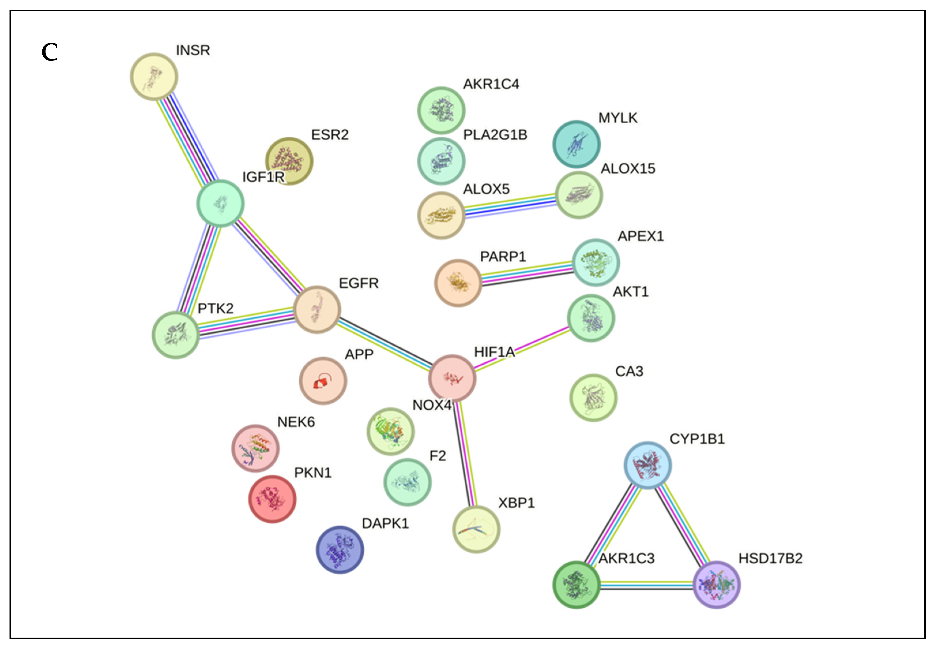 Molecules 29 01082 g001b
