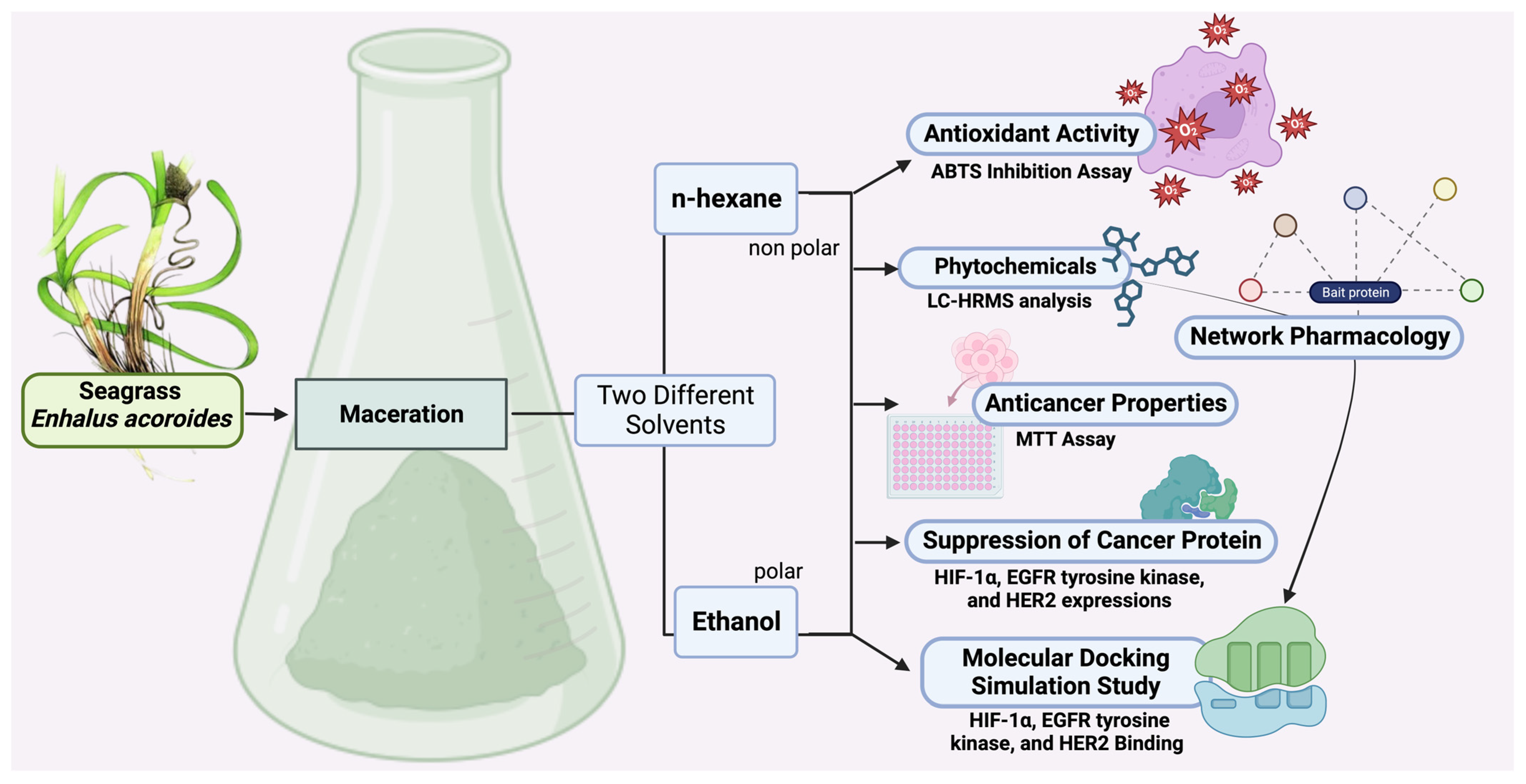 Molecules 29 01082 g005