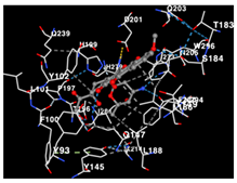 Molecules 29 01082 i001
