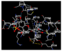 Molecules 29 01082 i011