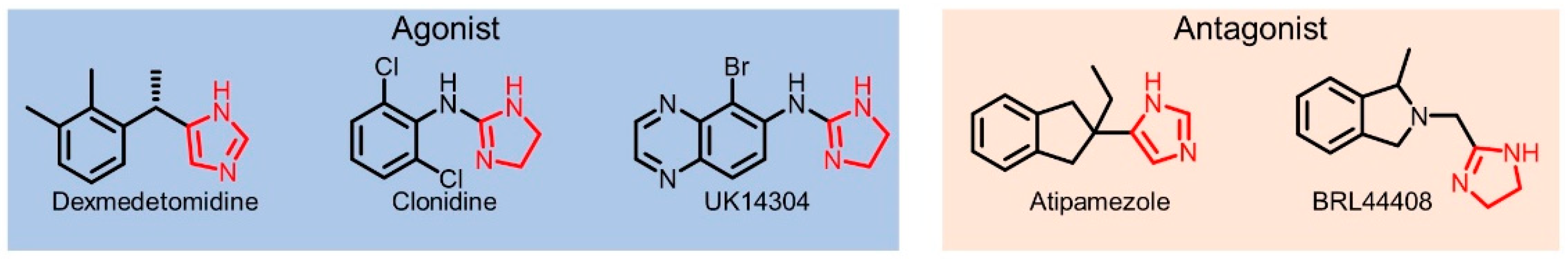 Molecules 29 01097 g001