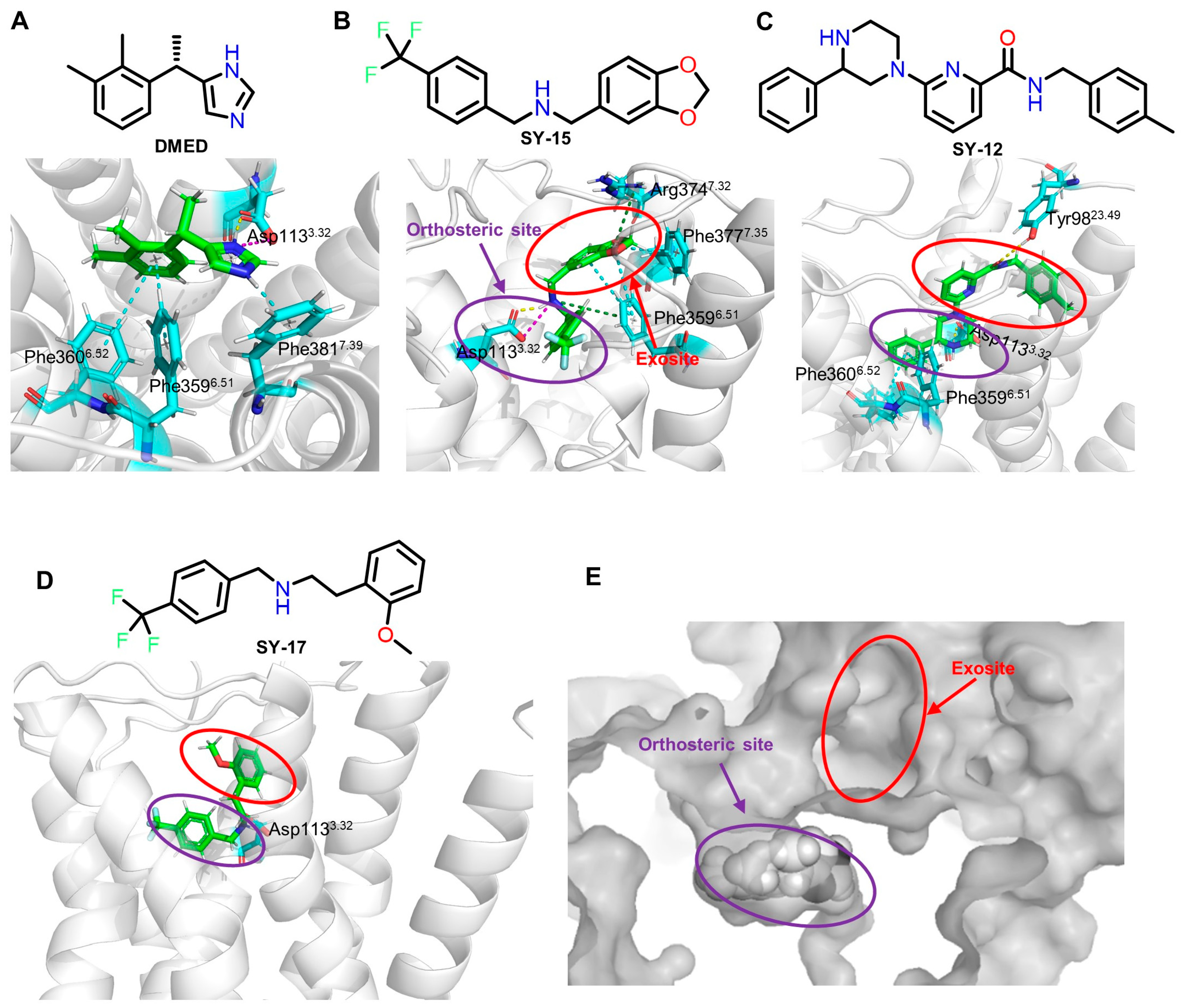 Molecules 29 01097 g005