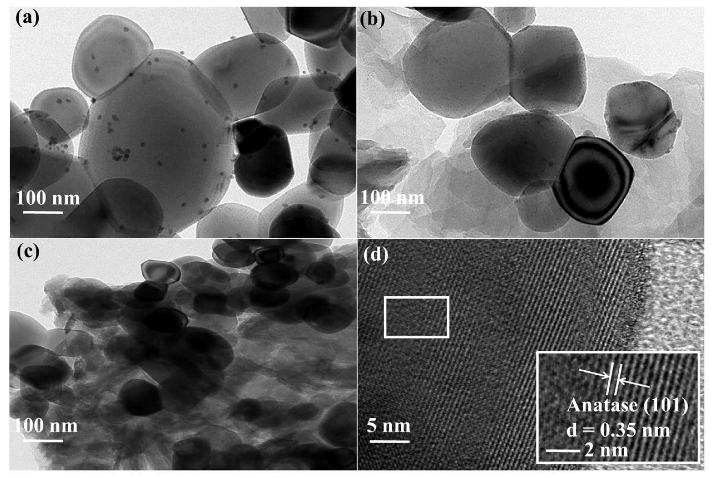 Molecules 29 01103 g003 Molecules 29 01103 g003
