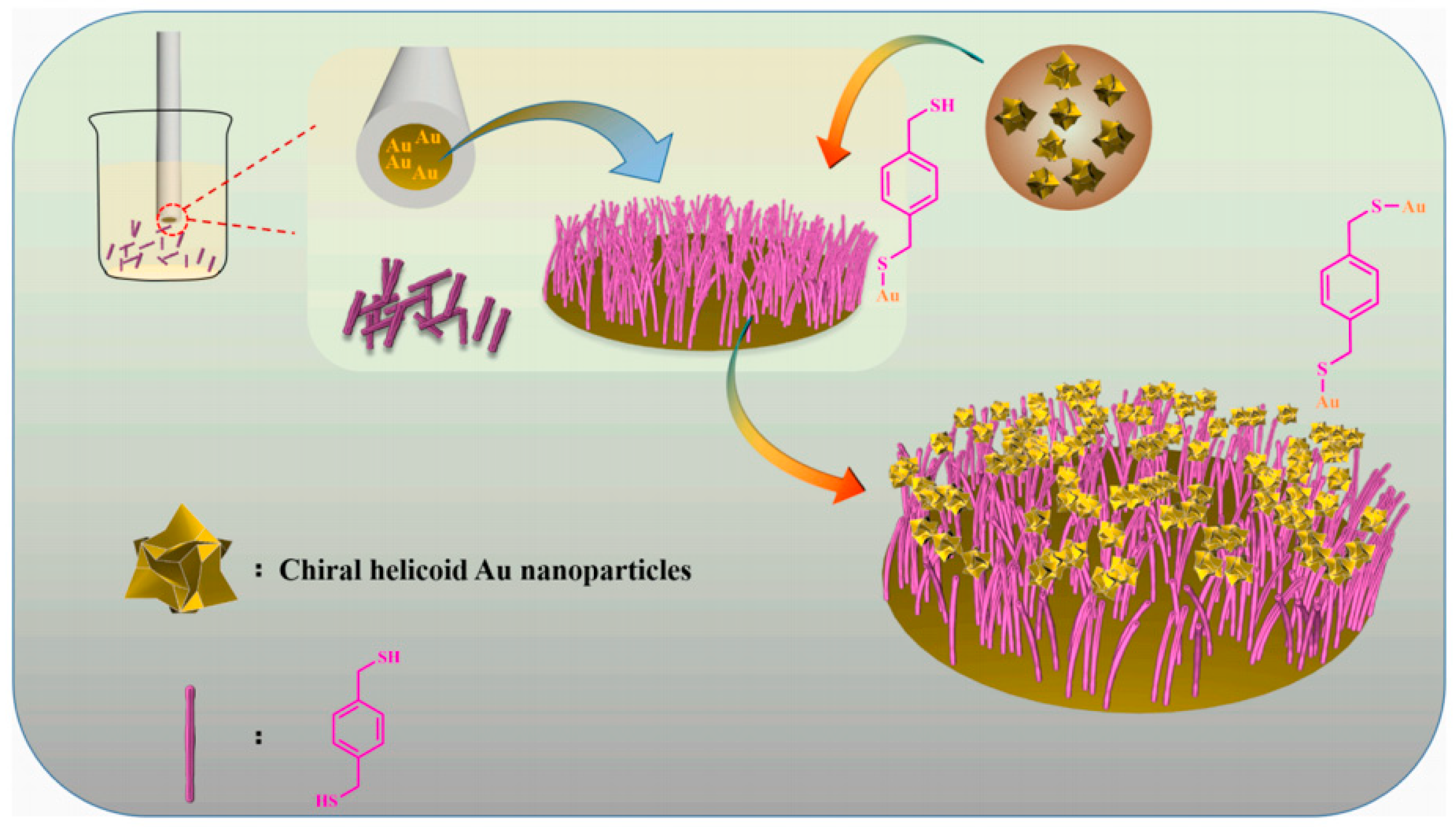 Molecules 29 01106 g003