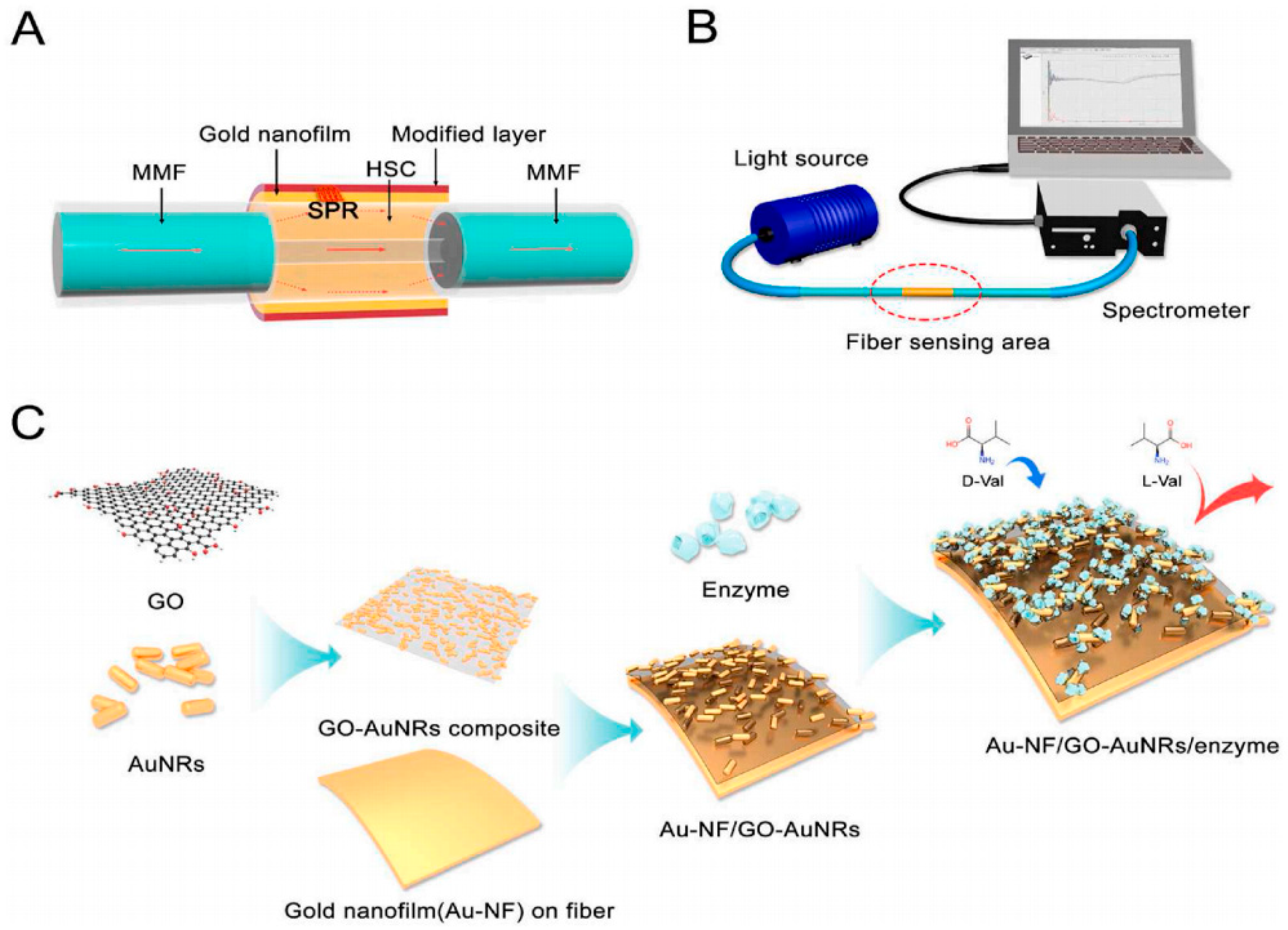 Molecules 29 01106 g004