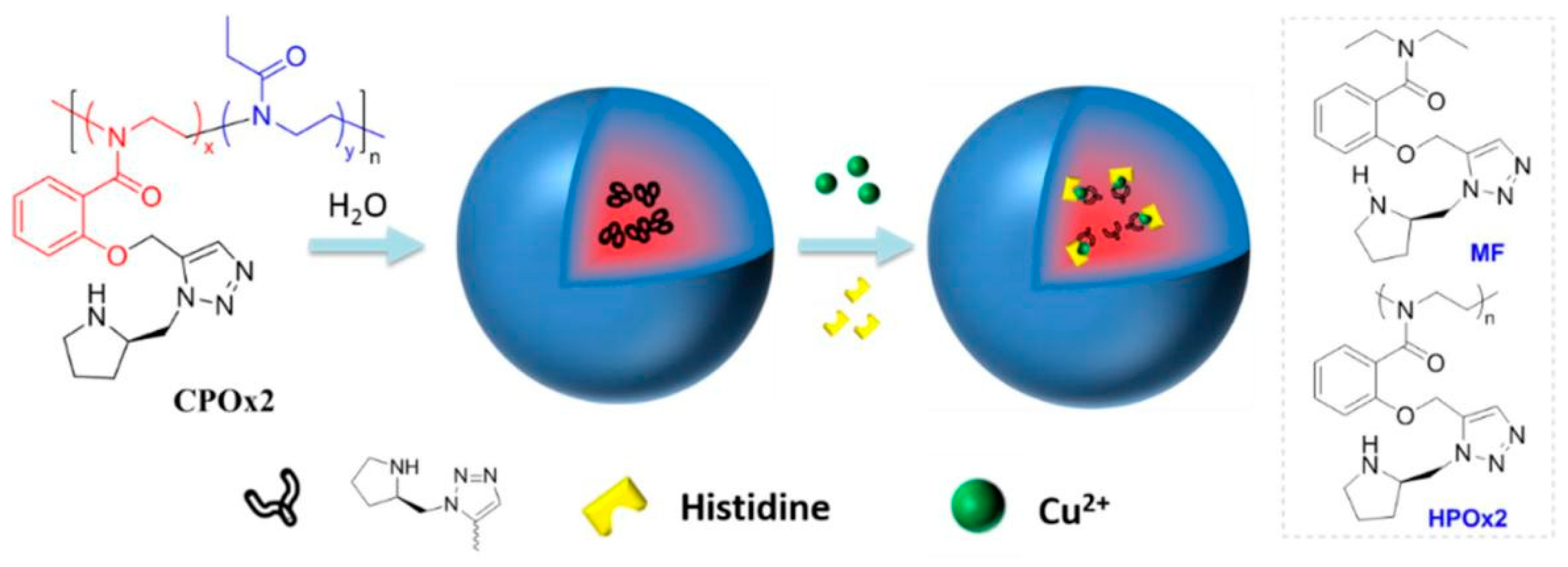 Molecules 29 01106 g005