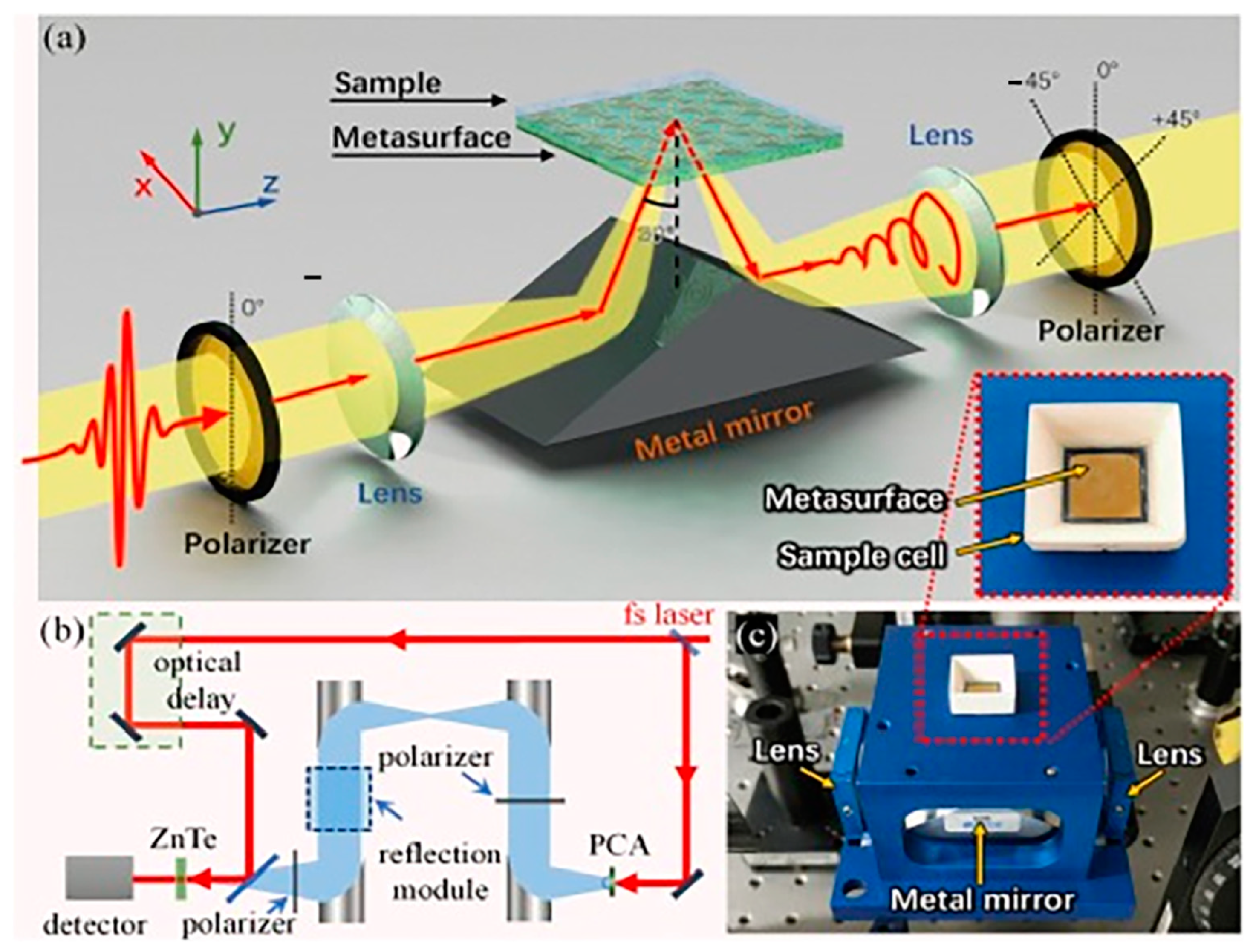 Molecules 29 01106 g009