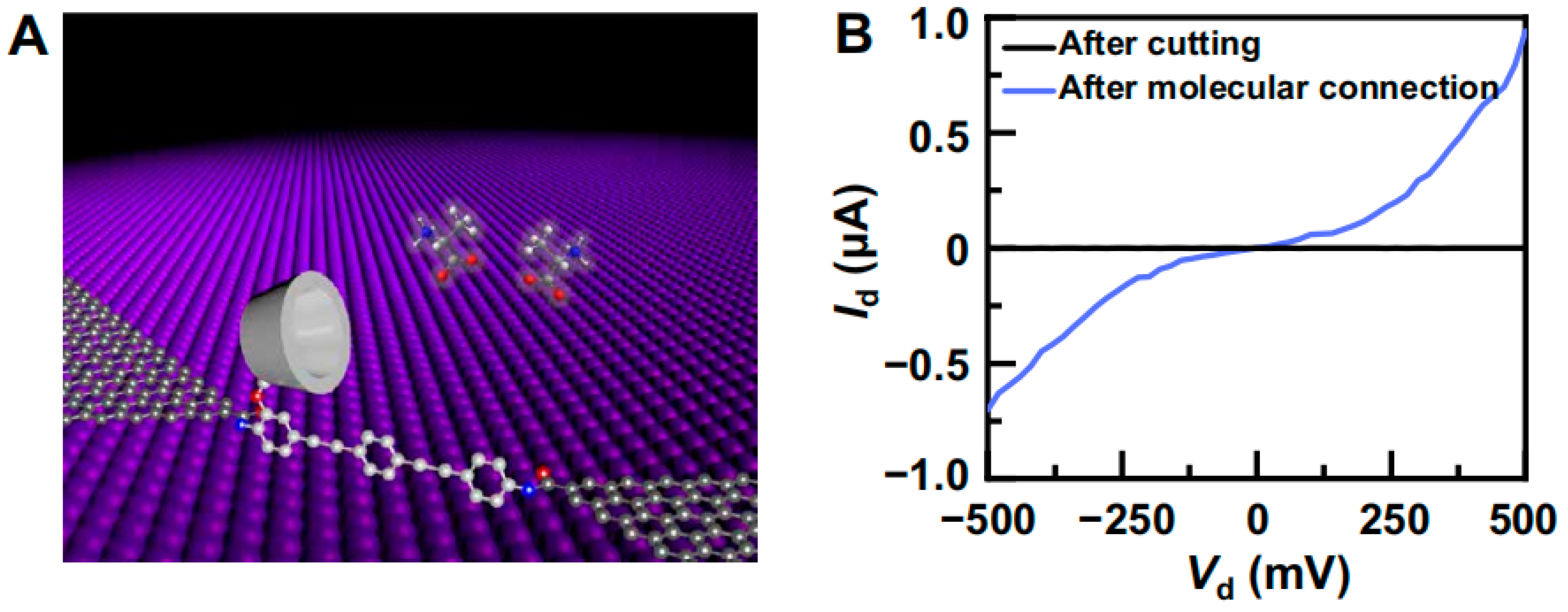 Molecules 29 01106 g010