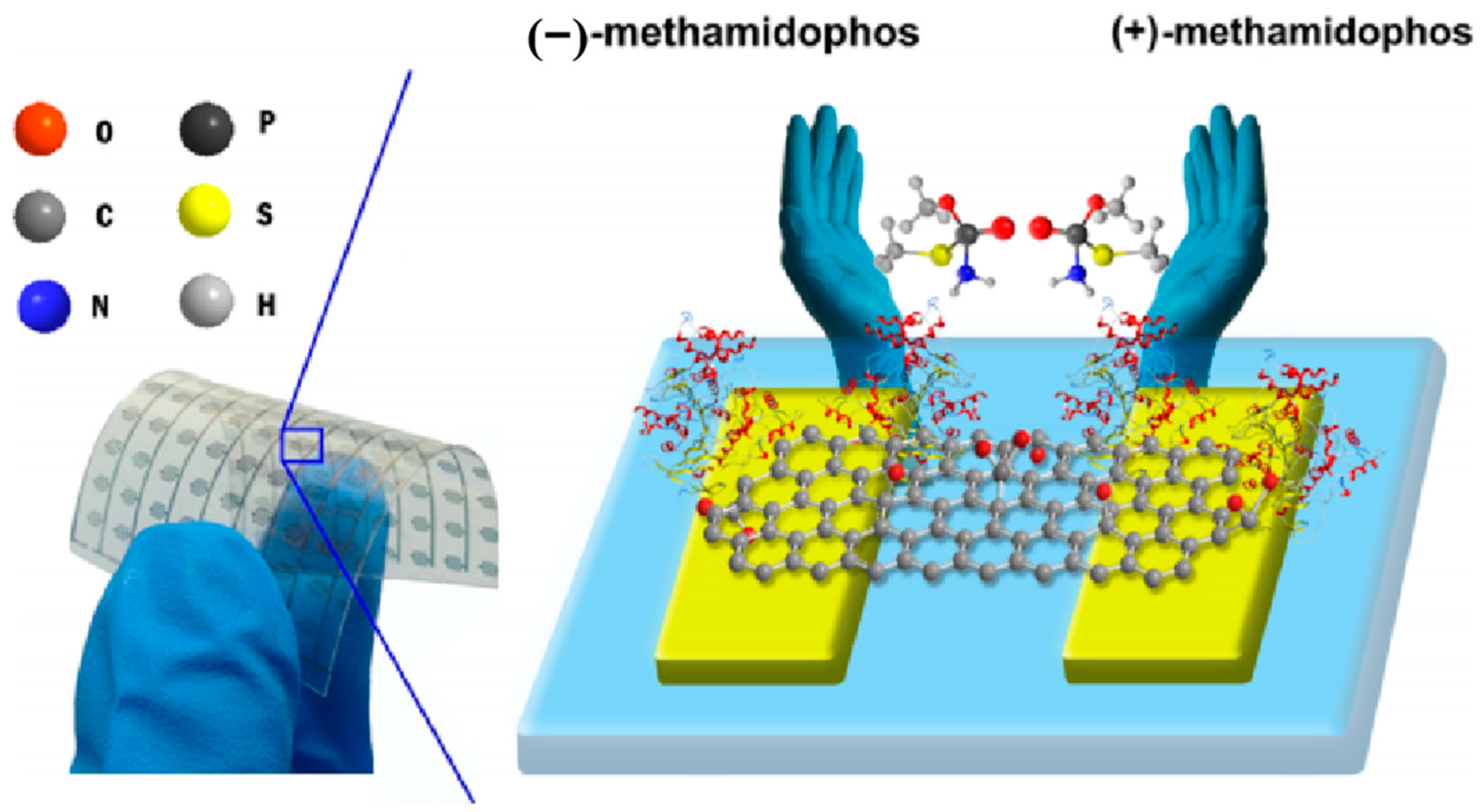 Molecules 29 01106 g011
