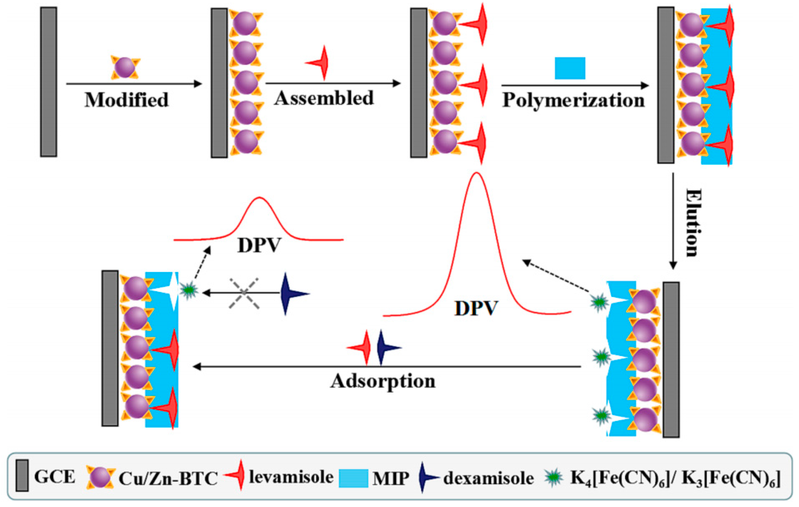 Molecules 29 01106 g012
