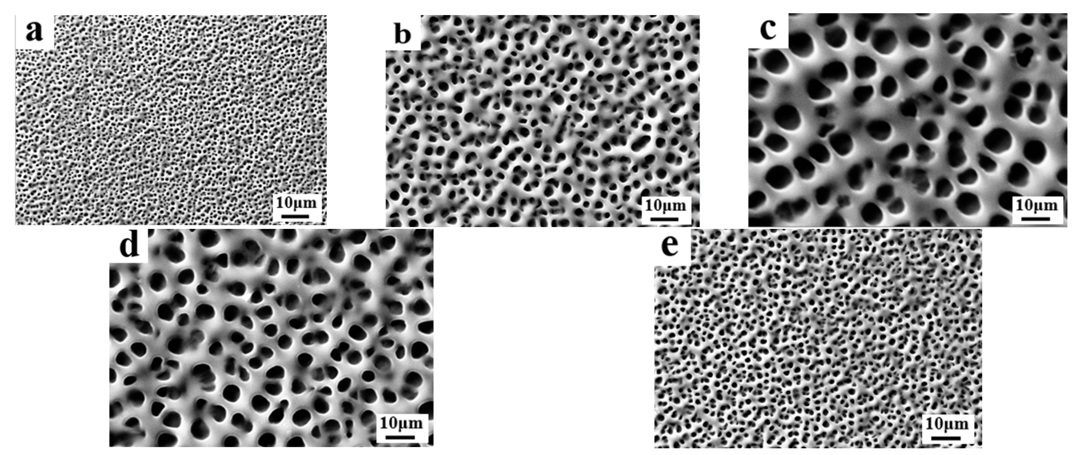 Molecules 29 01109 g001