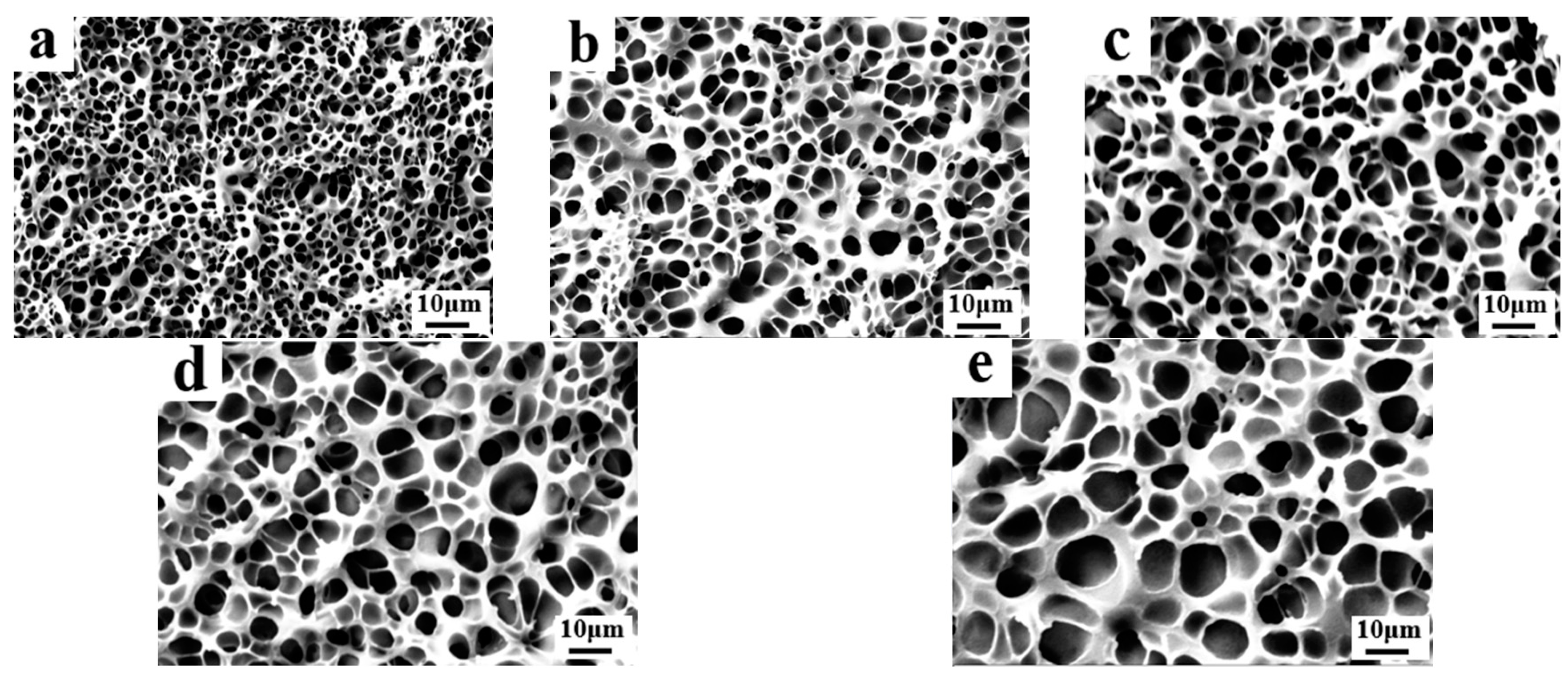 Molecules 29 01109 g003