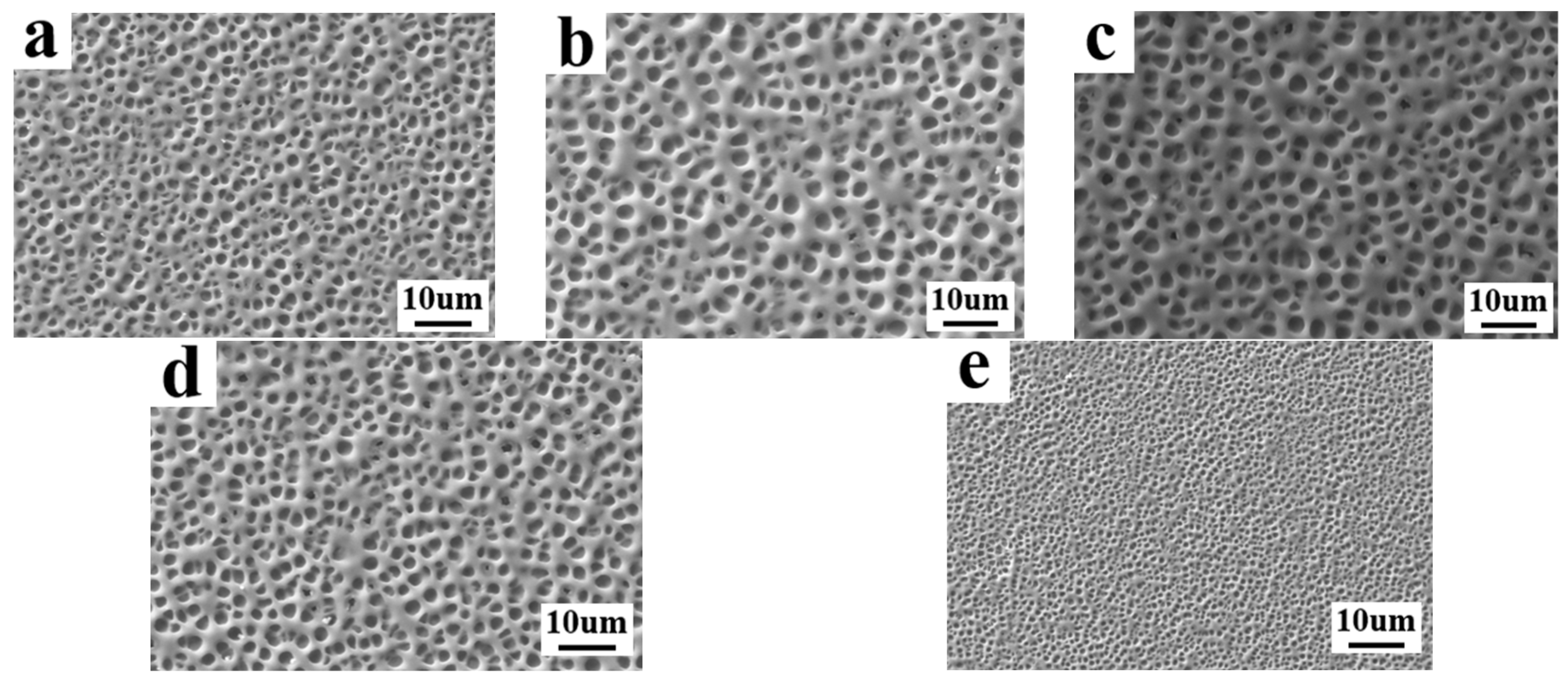 Molecules 29 01109 g006