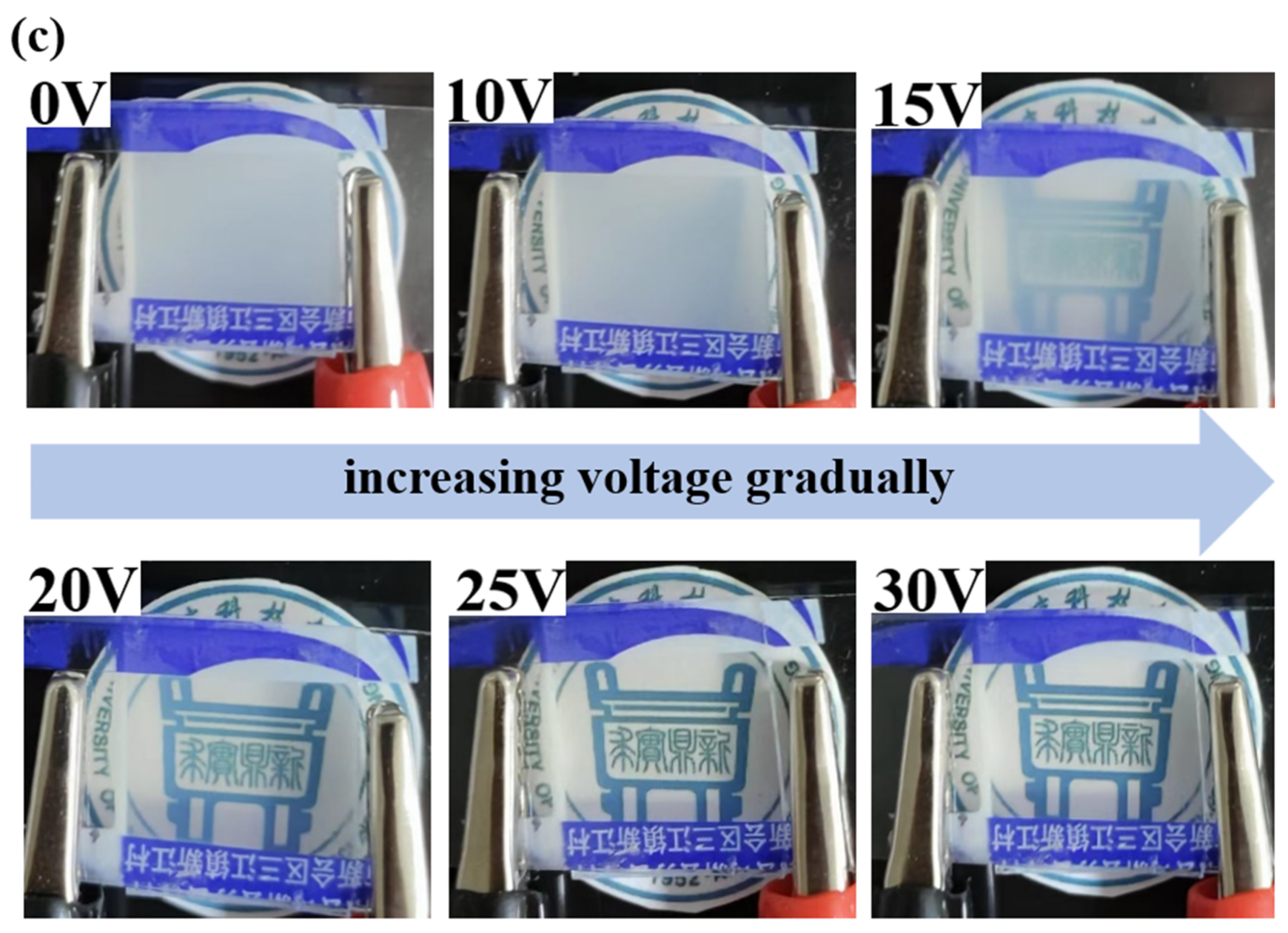 Molecules 29 01109 g011b