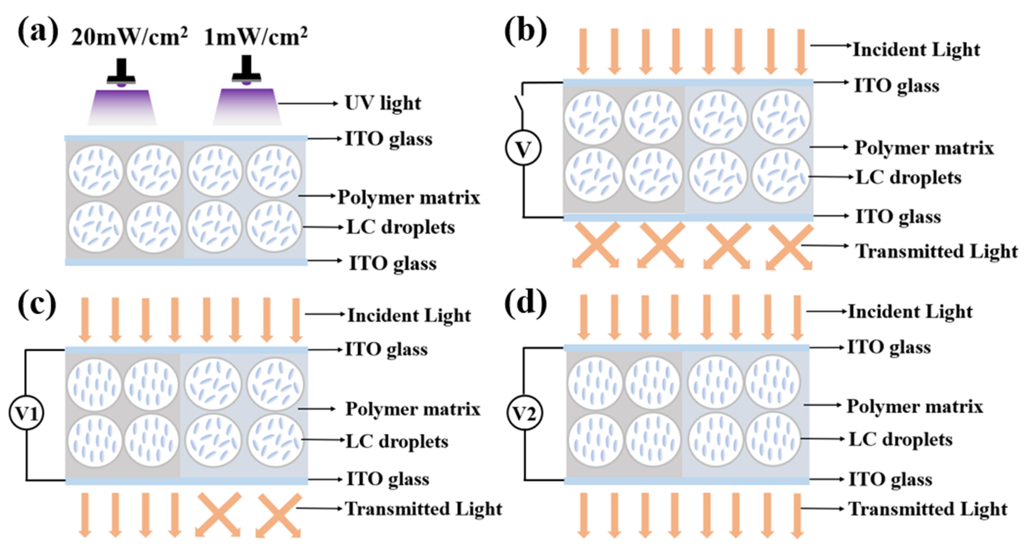 Molecules 29 01109 g014