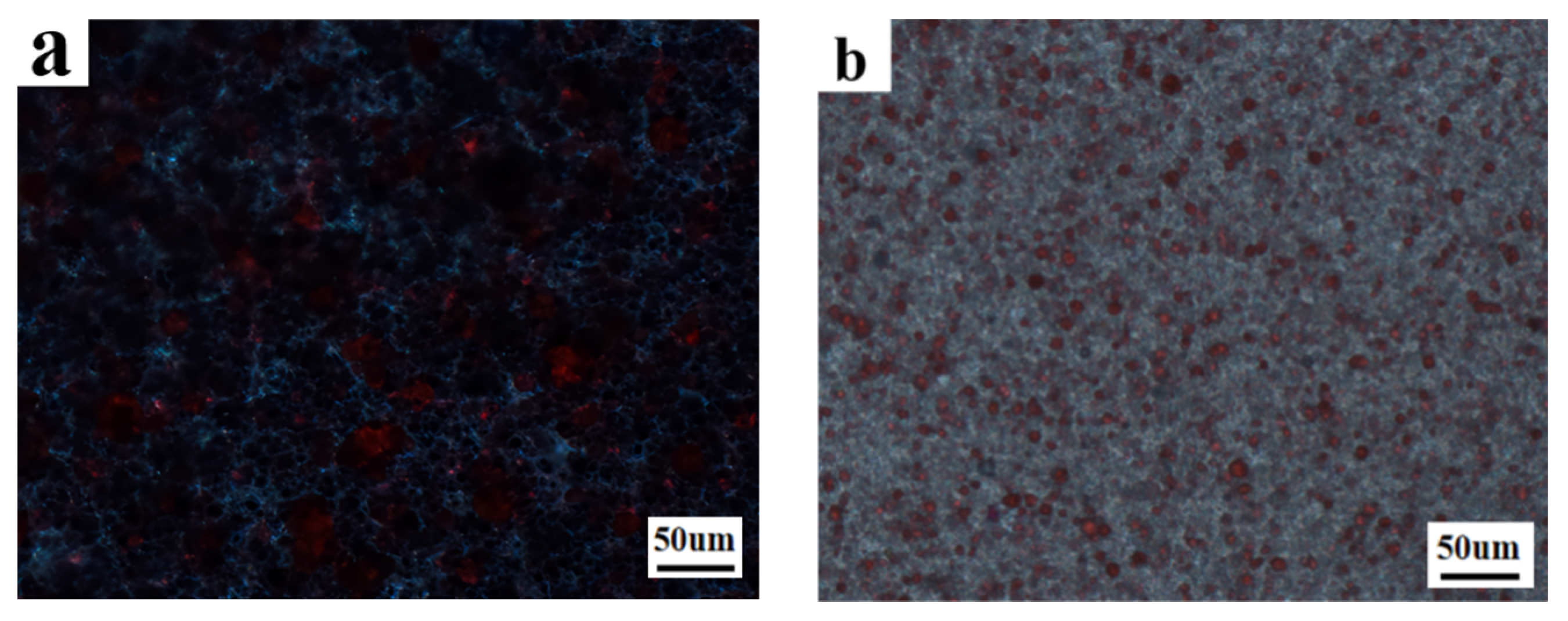 Molecules 29 01109 g016a