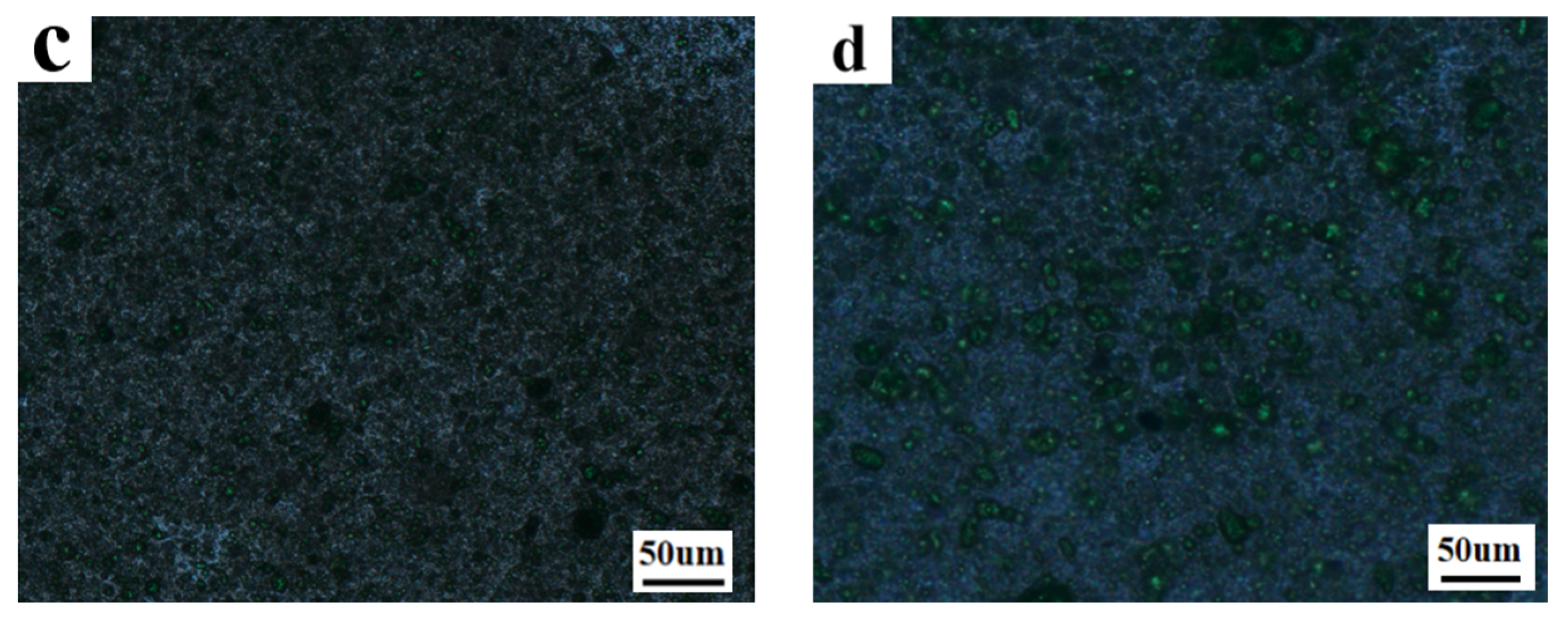 Molecules 29 01109 g016b
