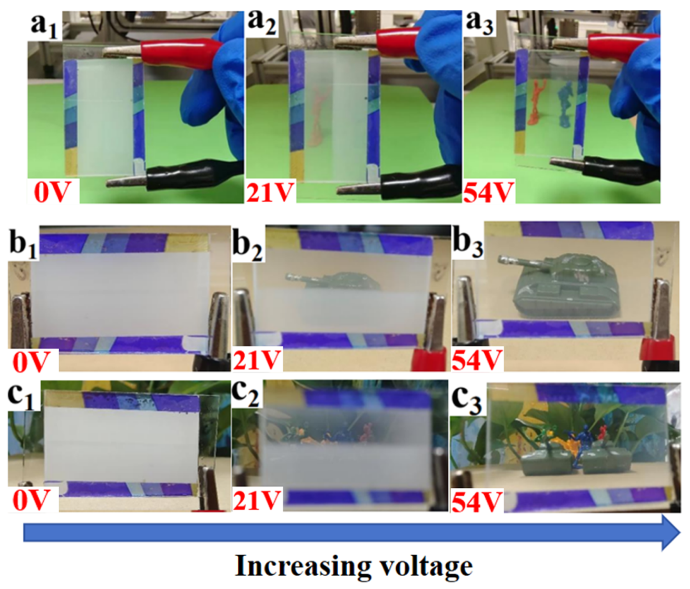 Molecules 29 01109 g021