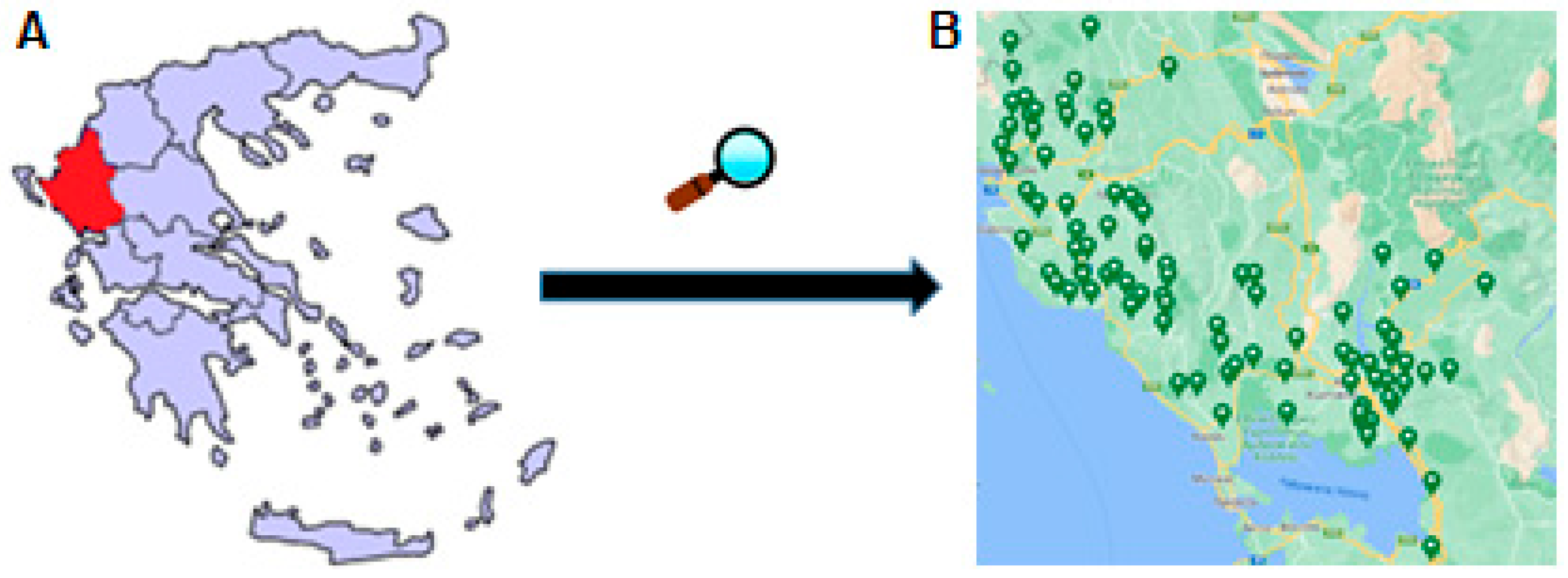 Molecules 29 01111 g011