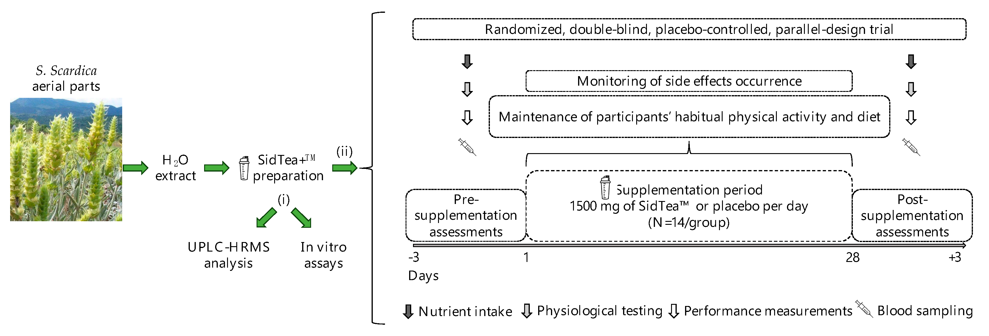 Molecules 29 01113 g003