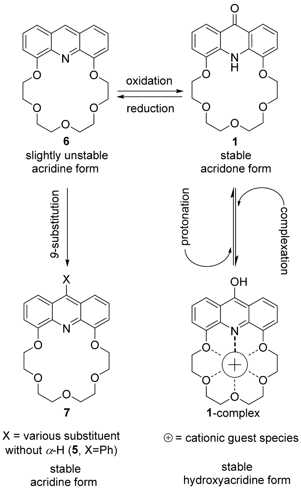 Molecules 29 01121 g002