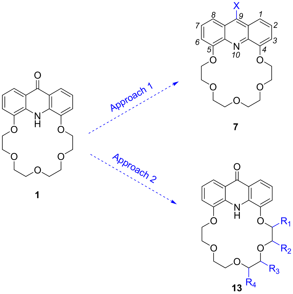 Molecules 29 01121 g004