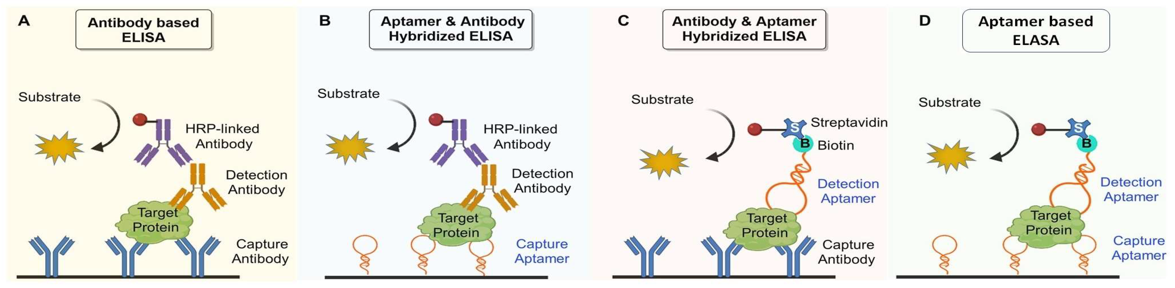 Molecules 29 01124 g004