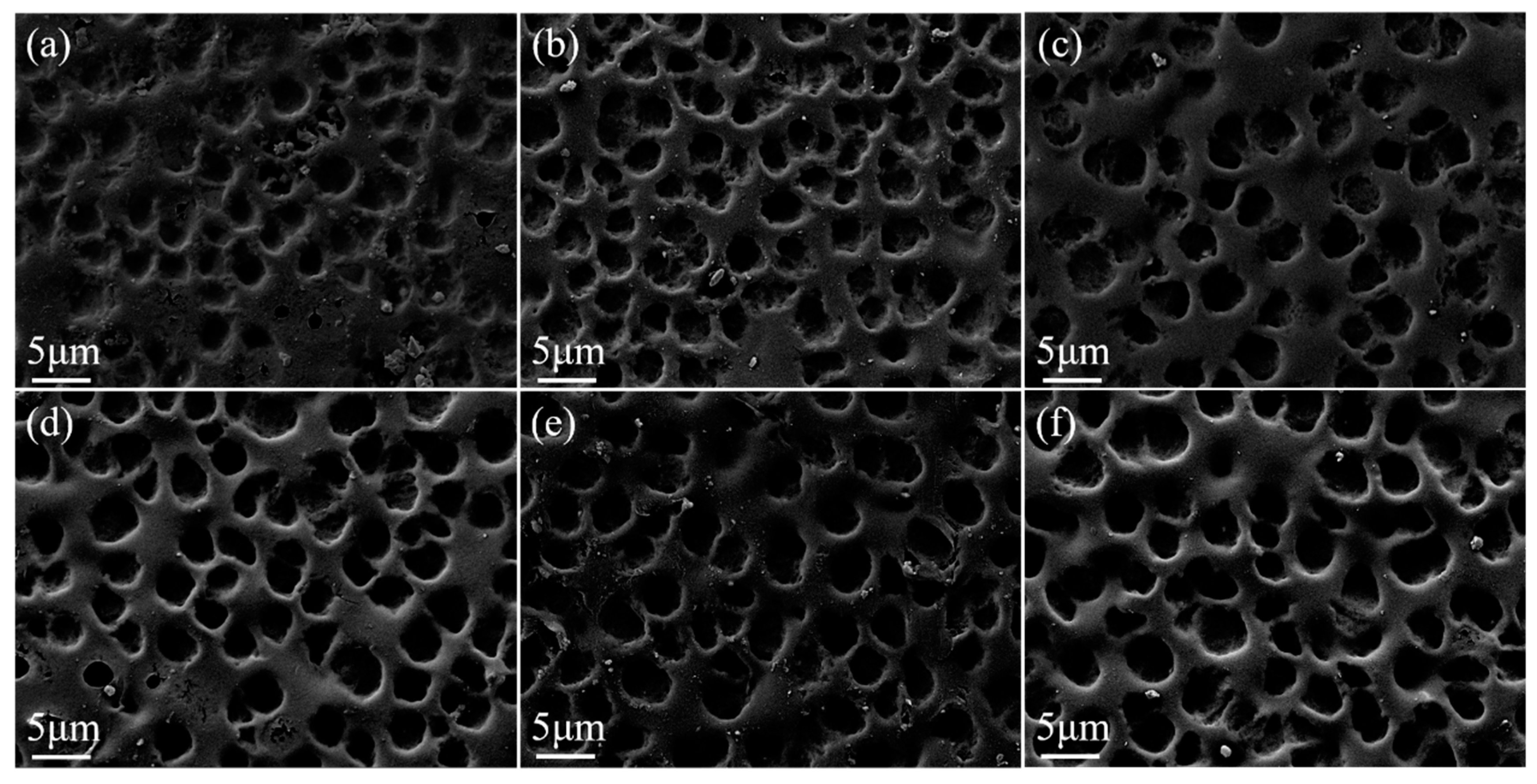 Molecules 29 01126 g005